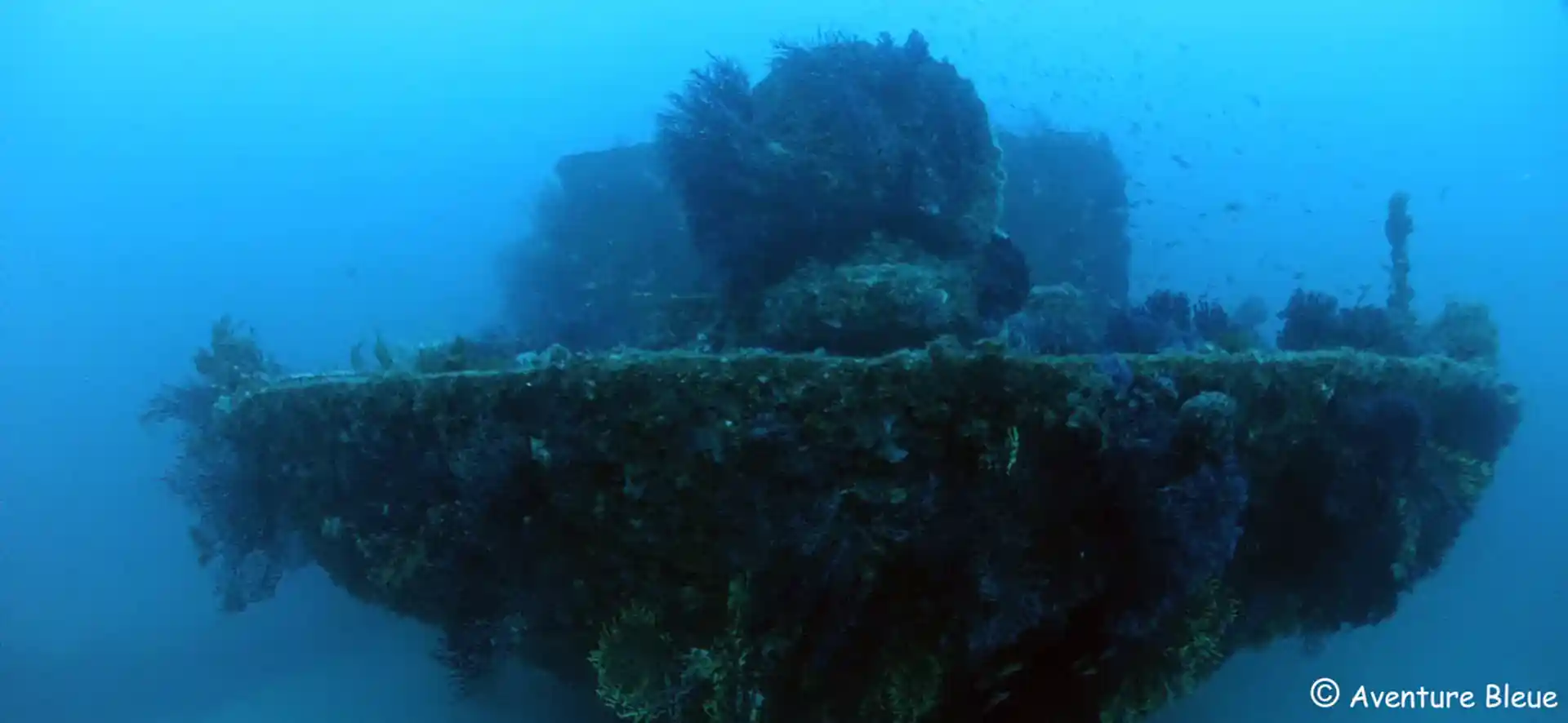 ダイビングサイトの写真