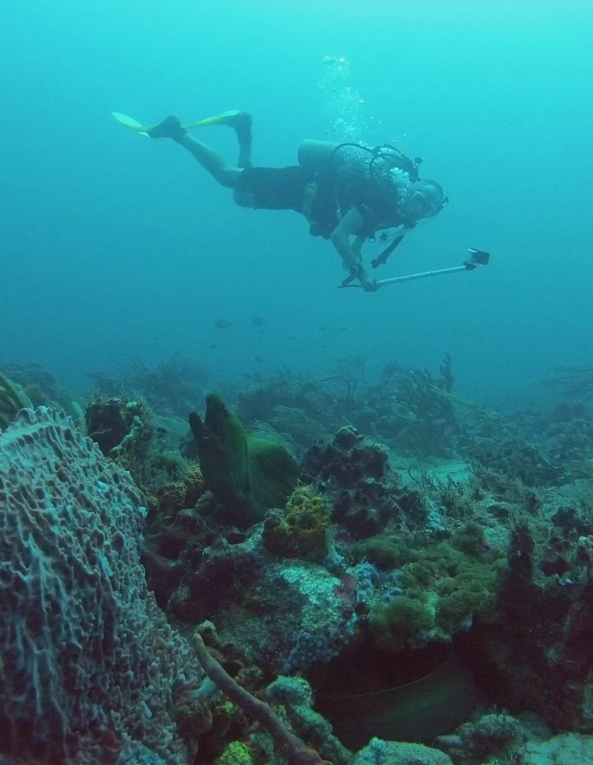 Dive site photo