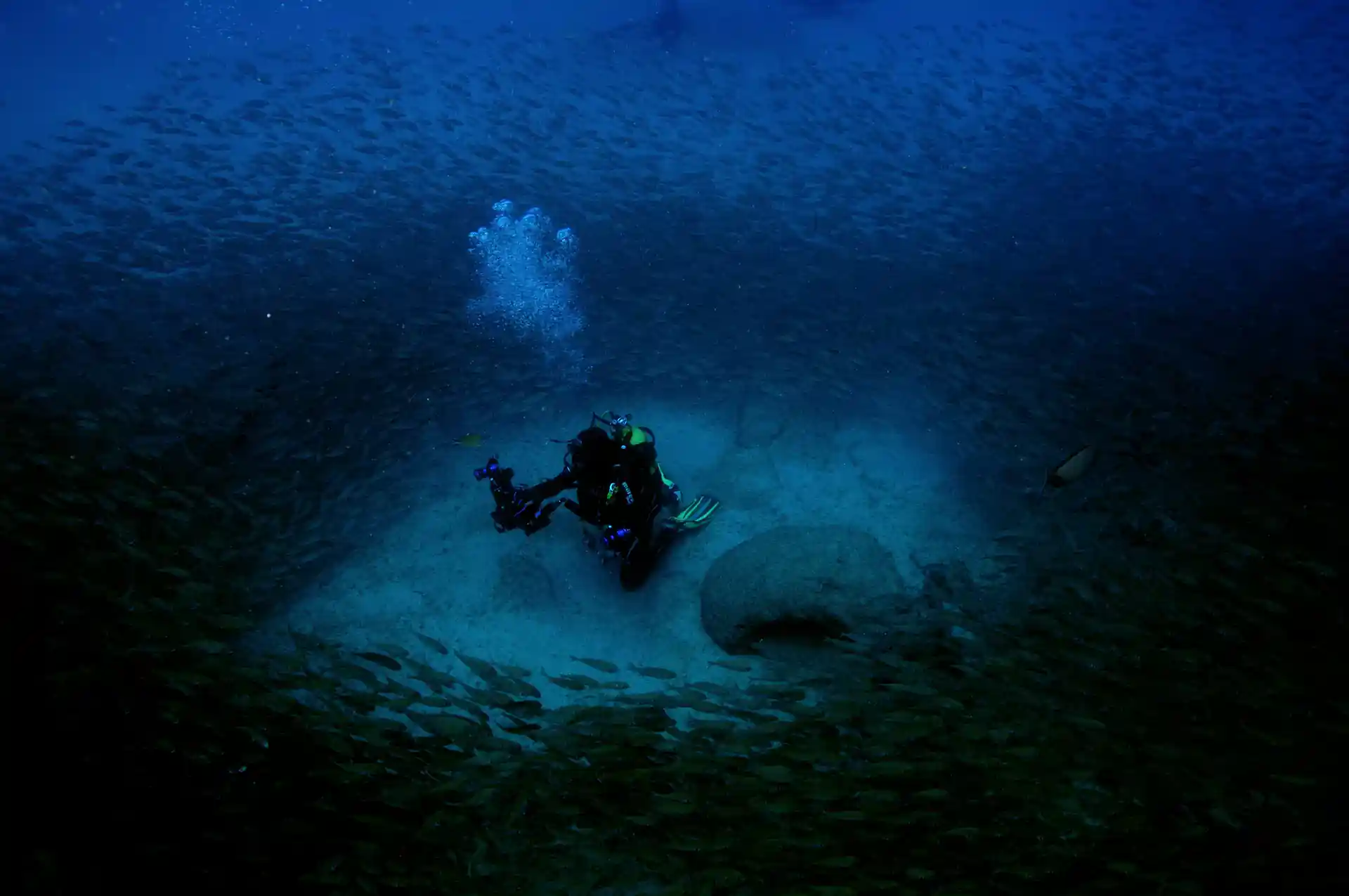 Foto de la actividad