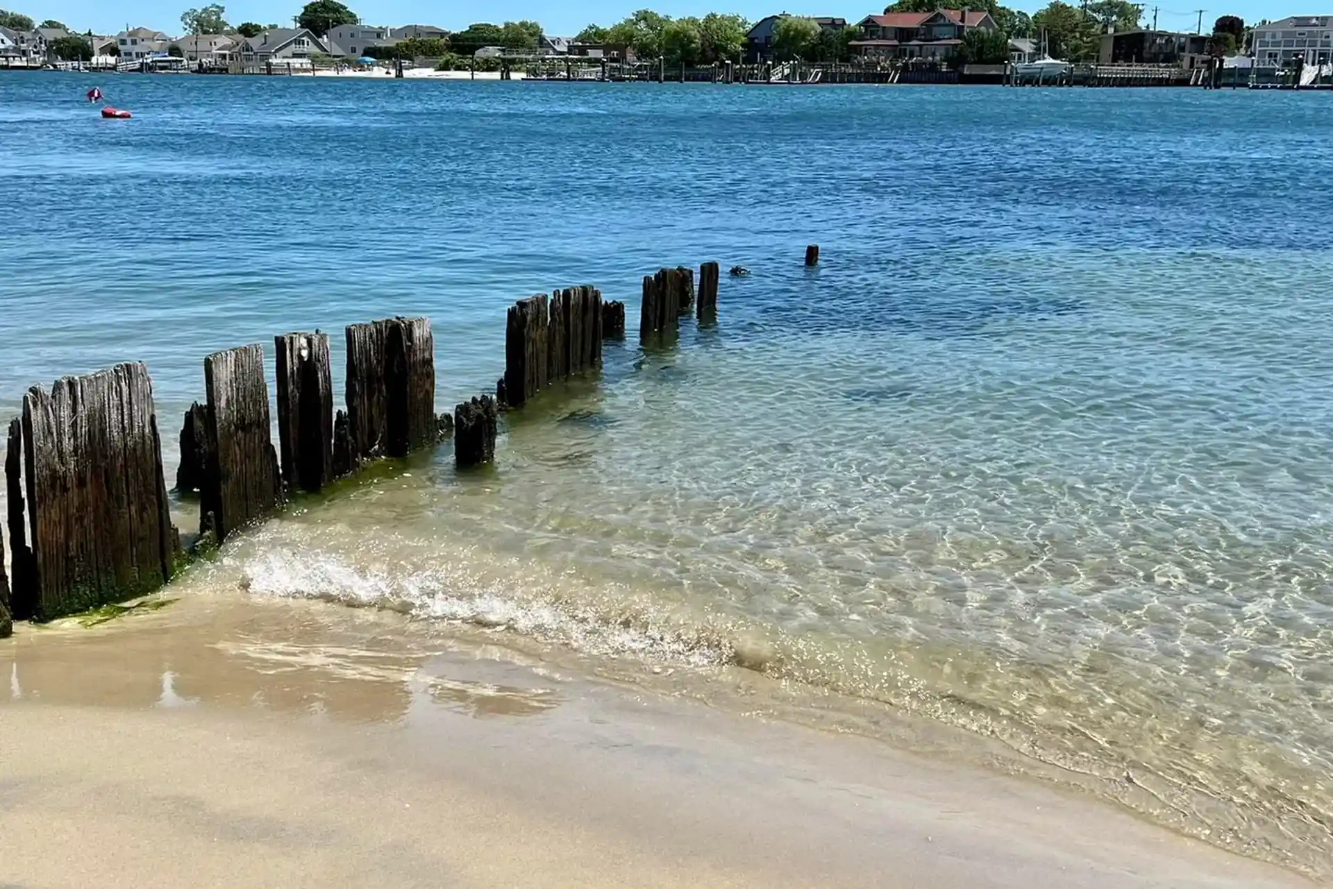 Dive site photo
