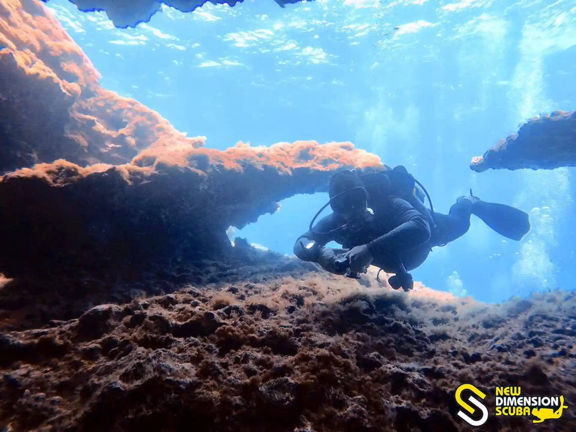 Photo du site de plongée