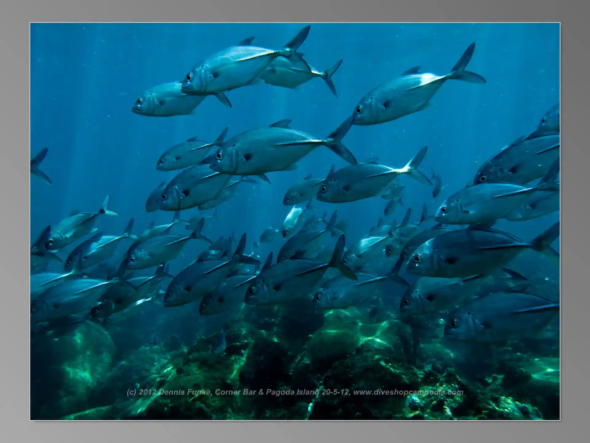 Dive site photo
