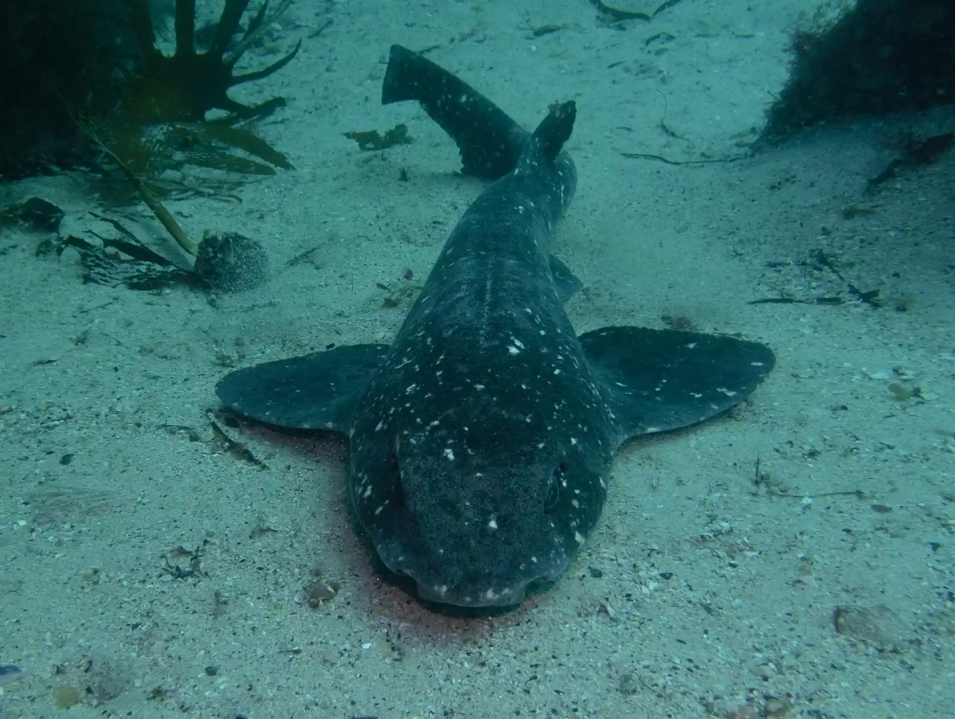 Dive site photo