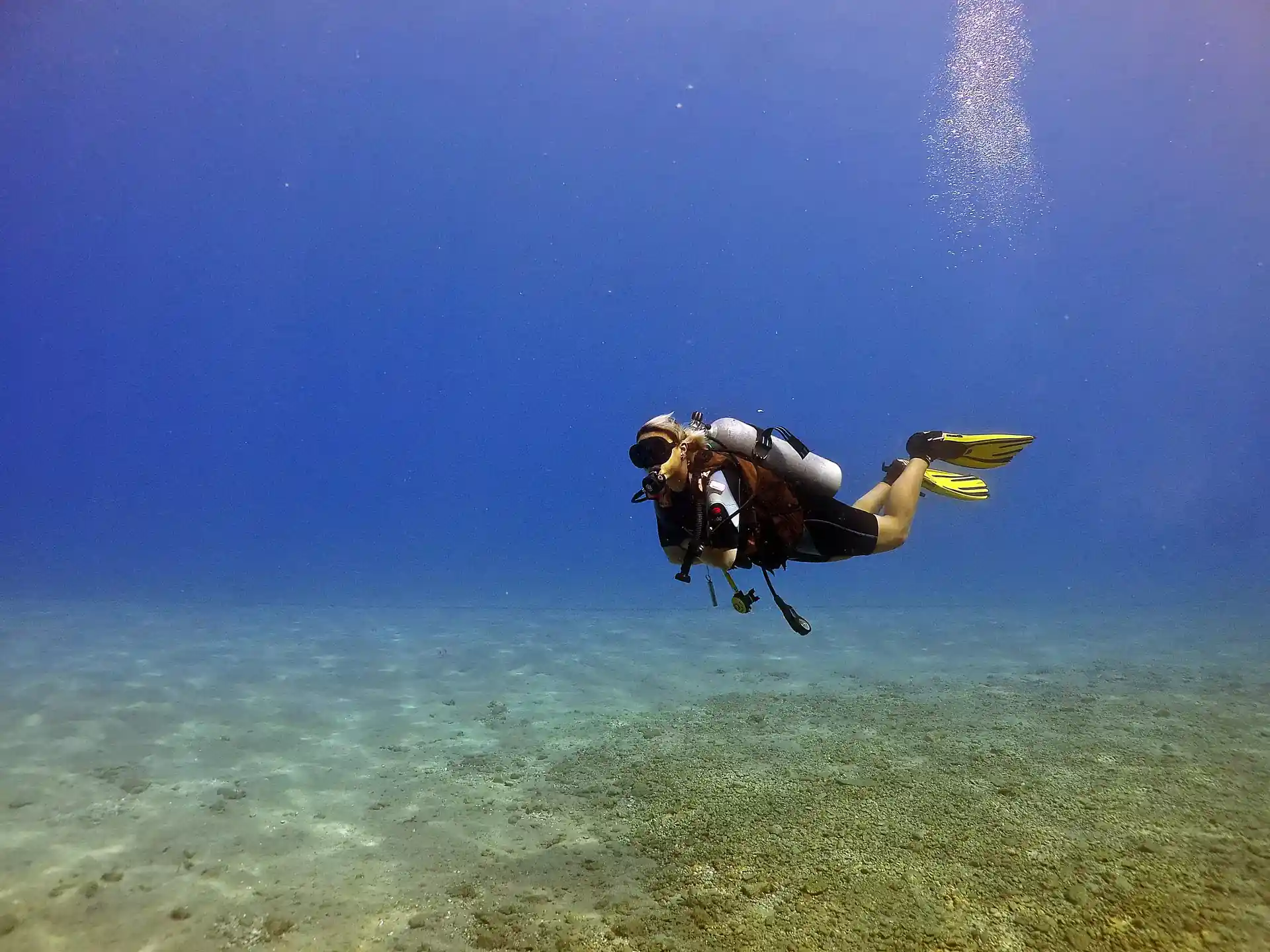 Dive site photo