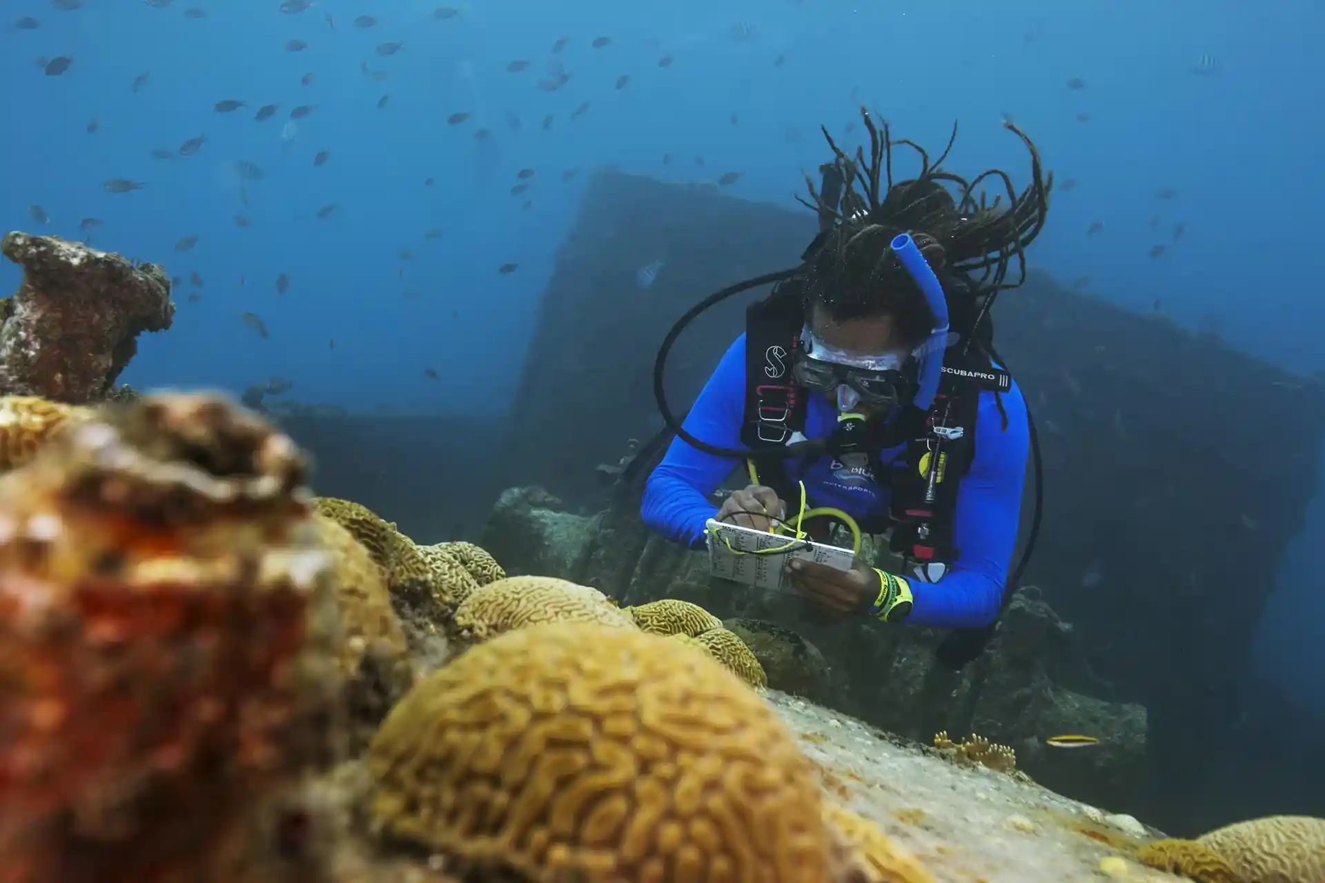 Foto de la actividad