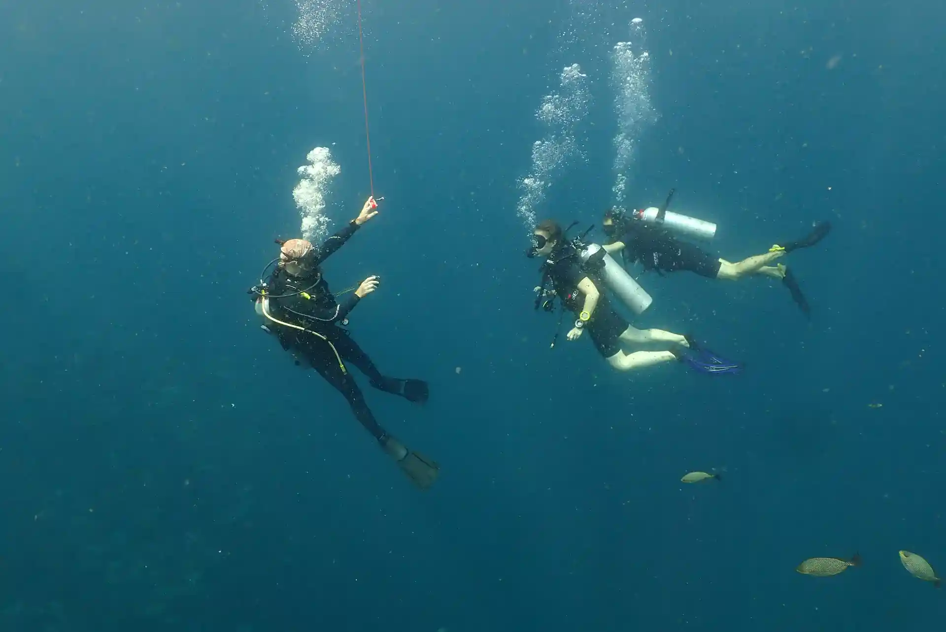 Learn to dive safely to 40 m with expert guidance.
