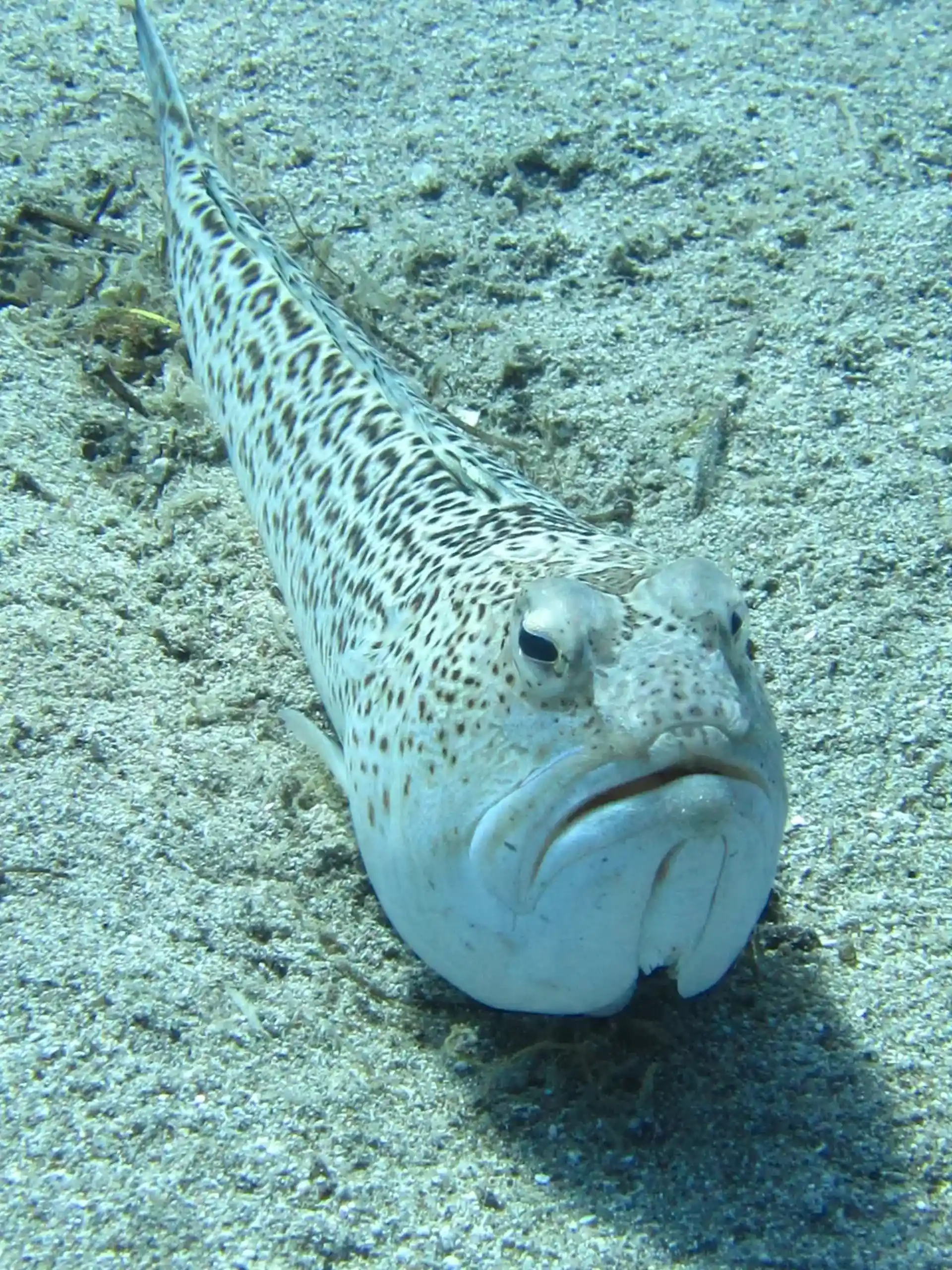 Dive site photo