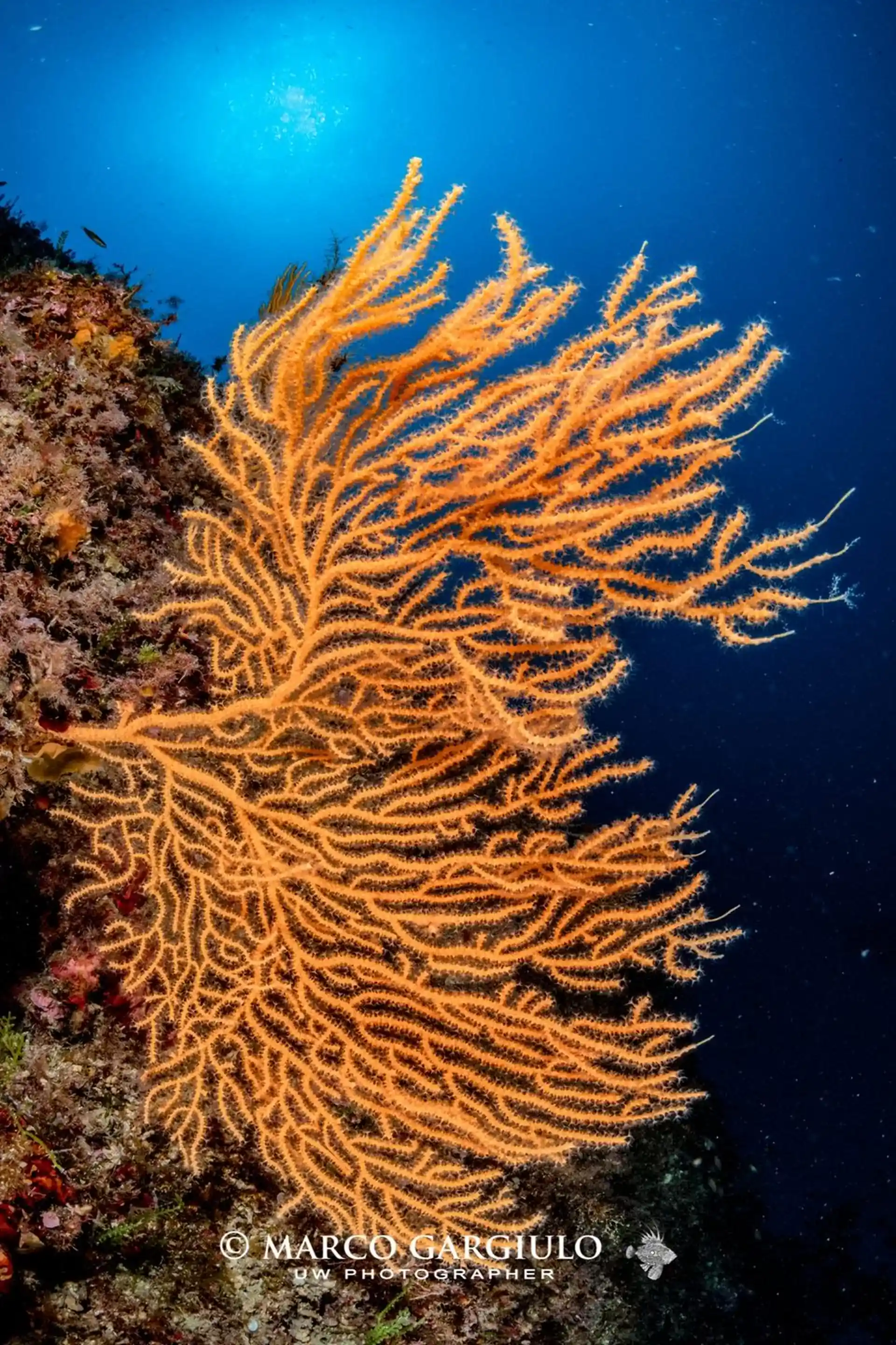 Foto des Tauchplatzes