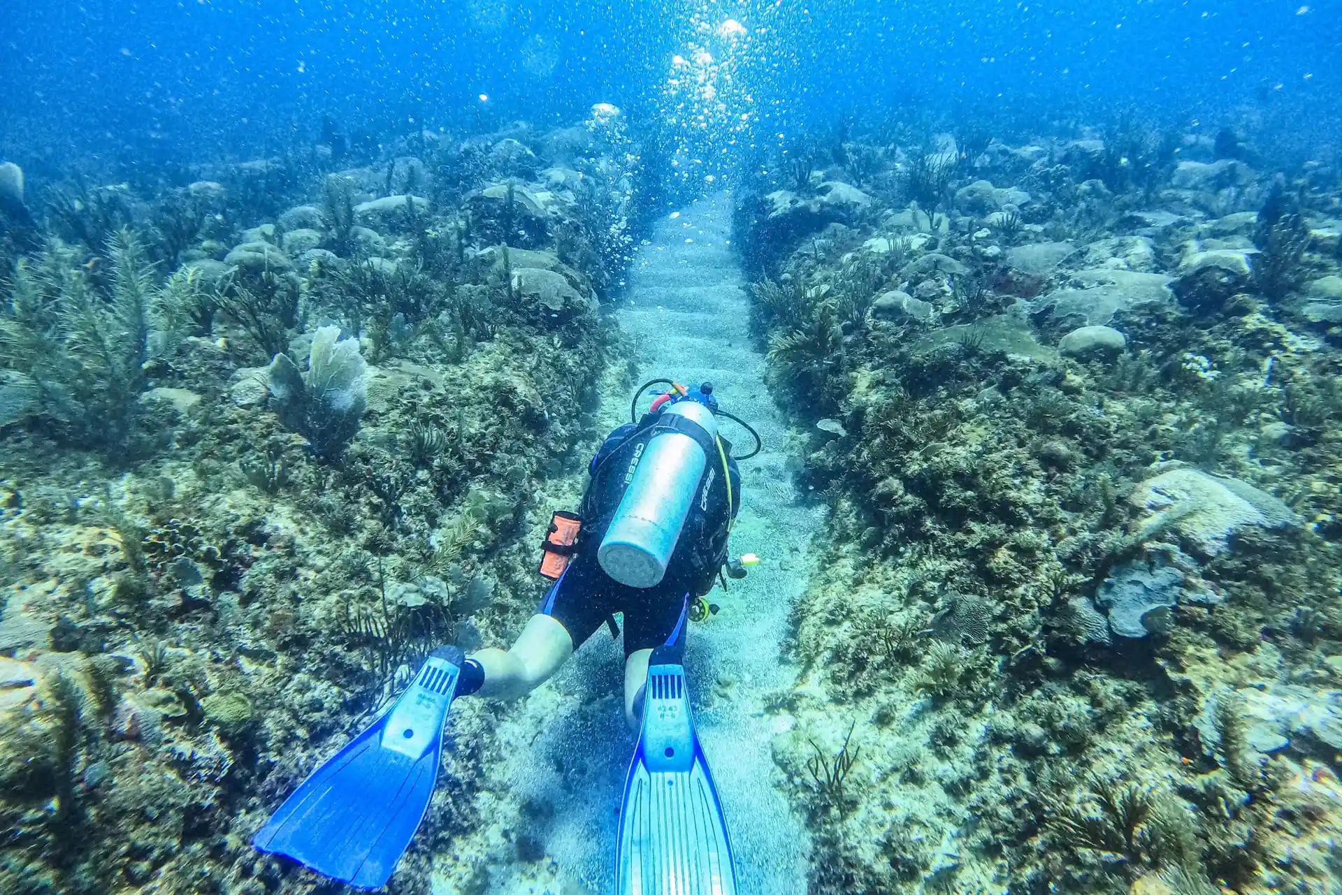 Foto del sitio de buceo