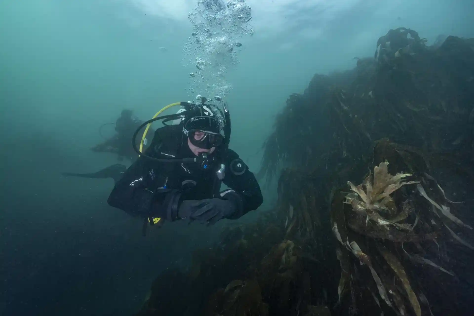 Foto de la actividad