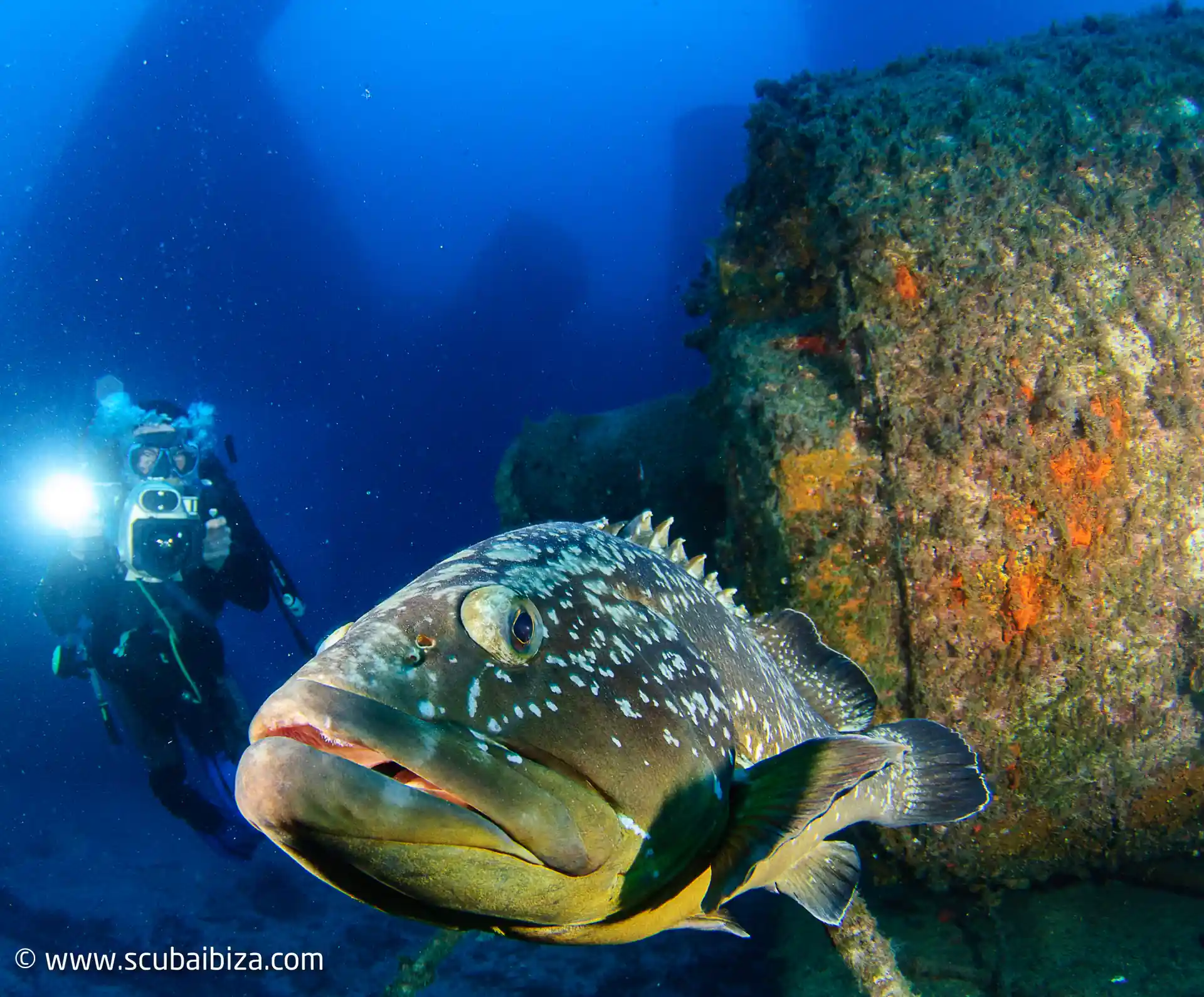 Photo de l'activité