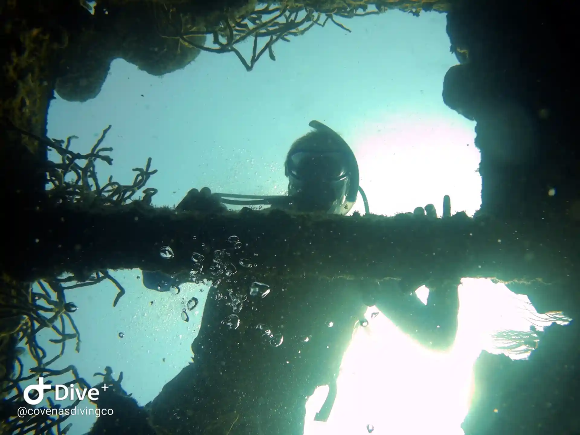 Dive site photo