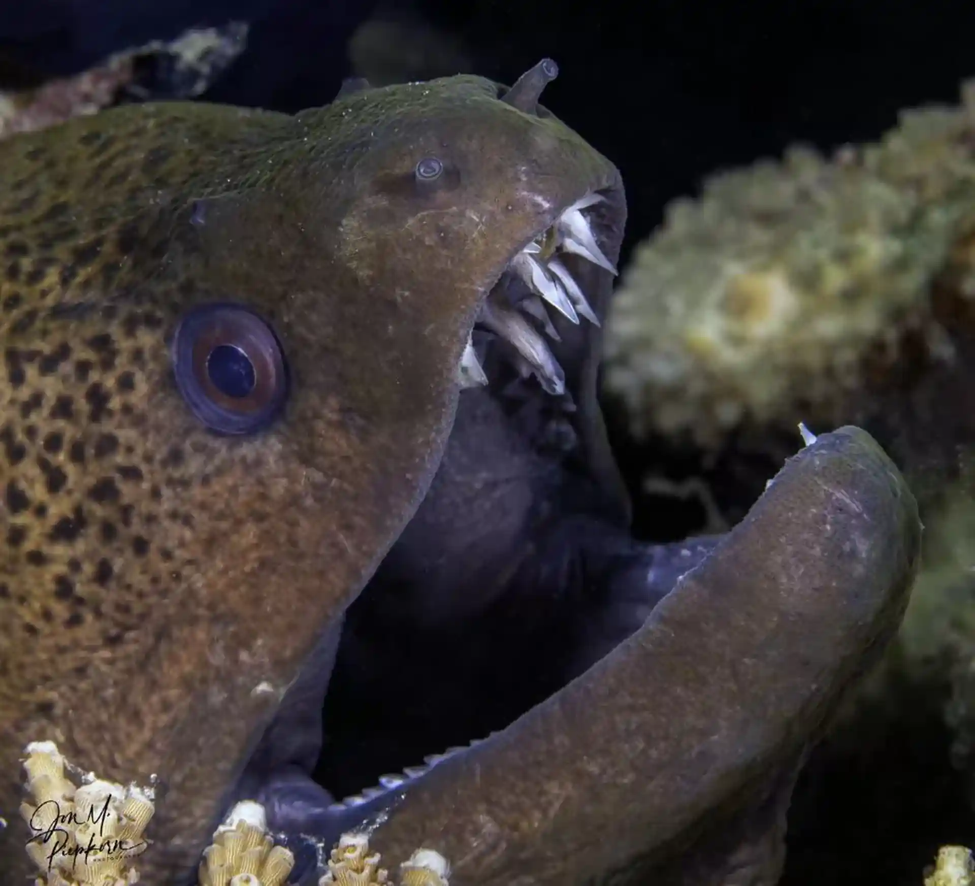 Dive shop photo