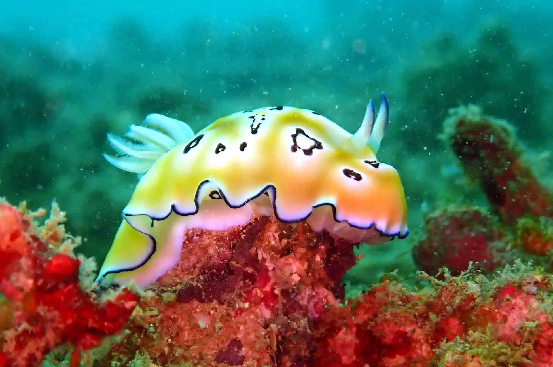 Foto de la actividad