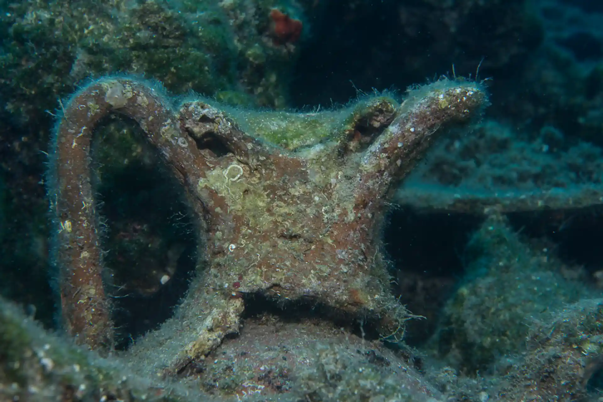 다이빙 포인트 사진