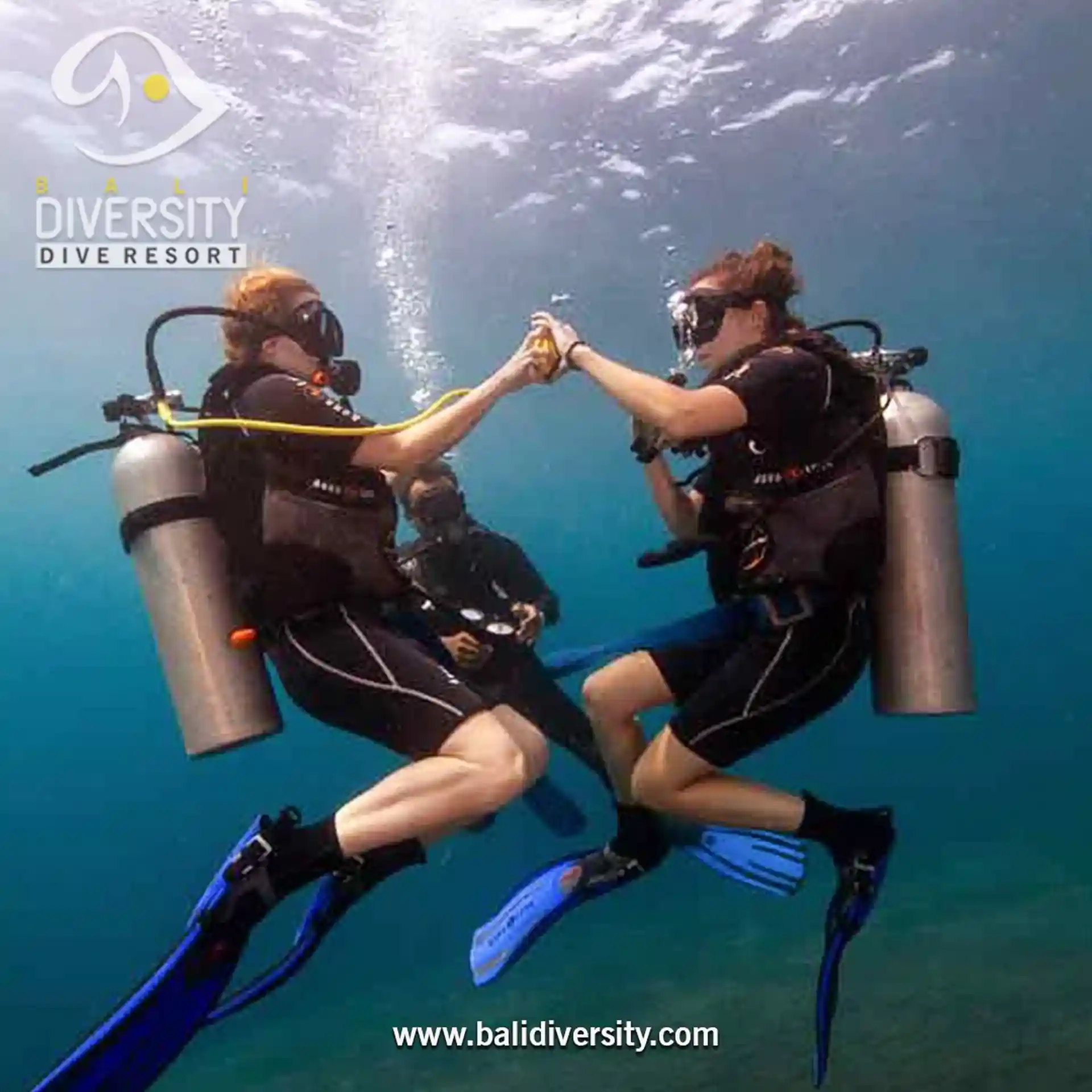 Dive shop photo