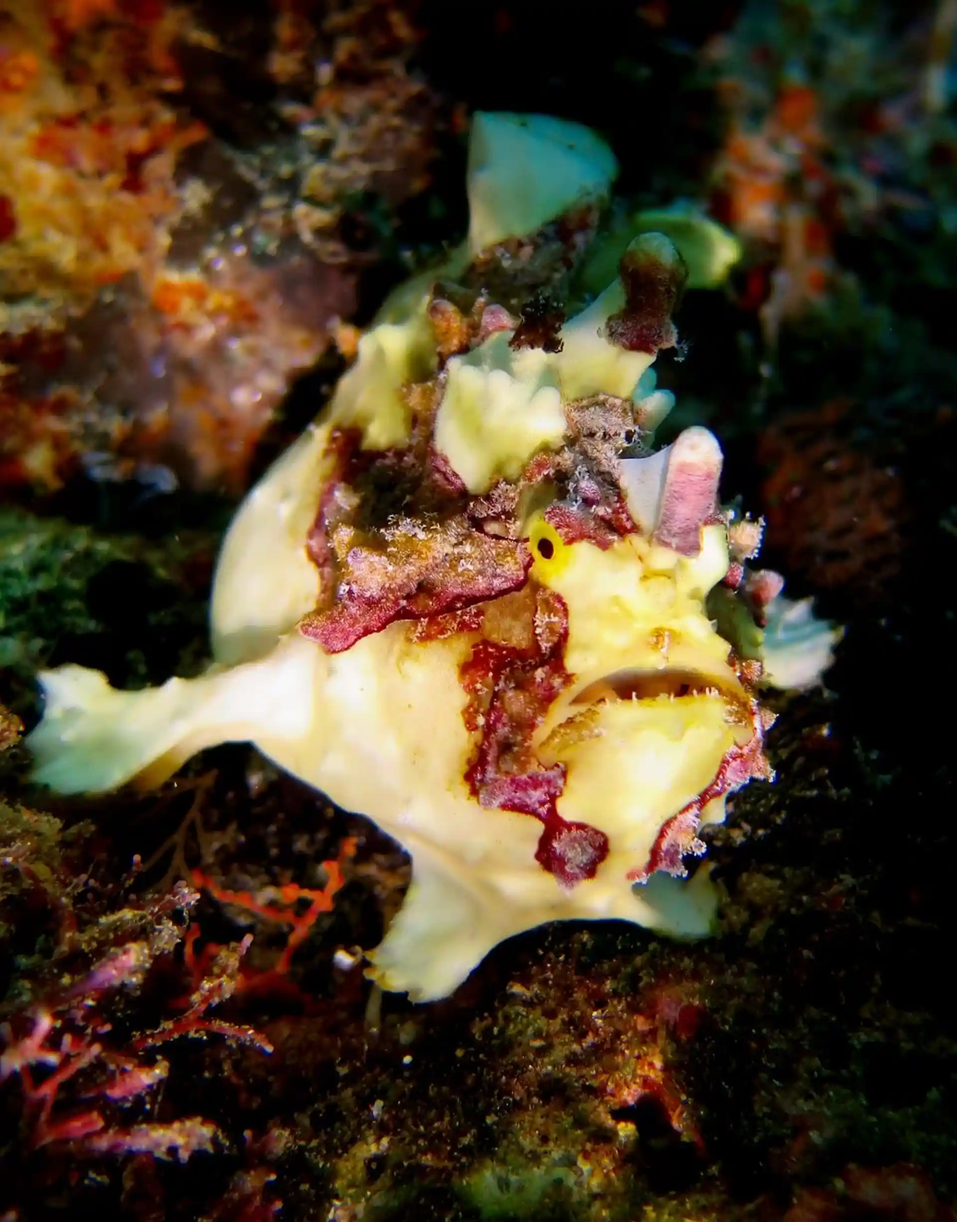Dive site photo