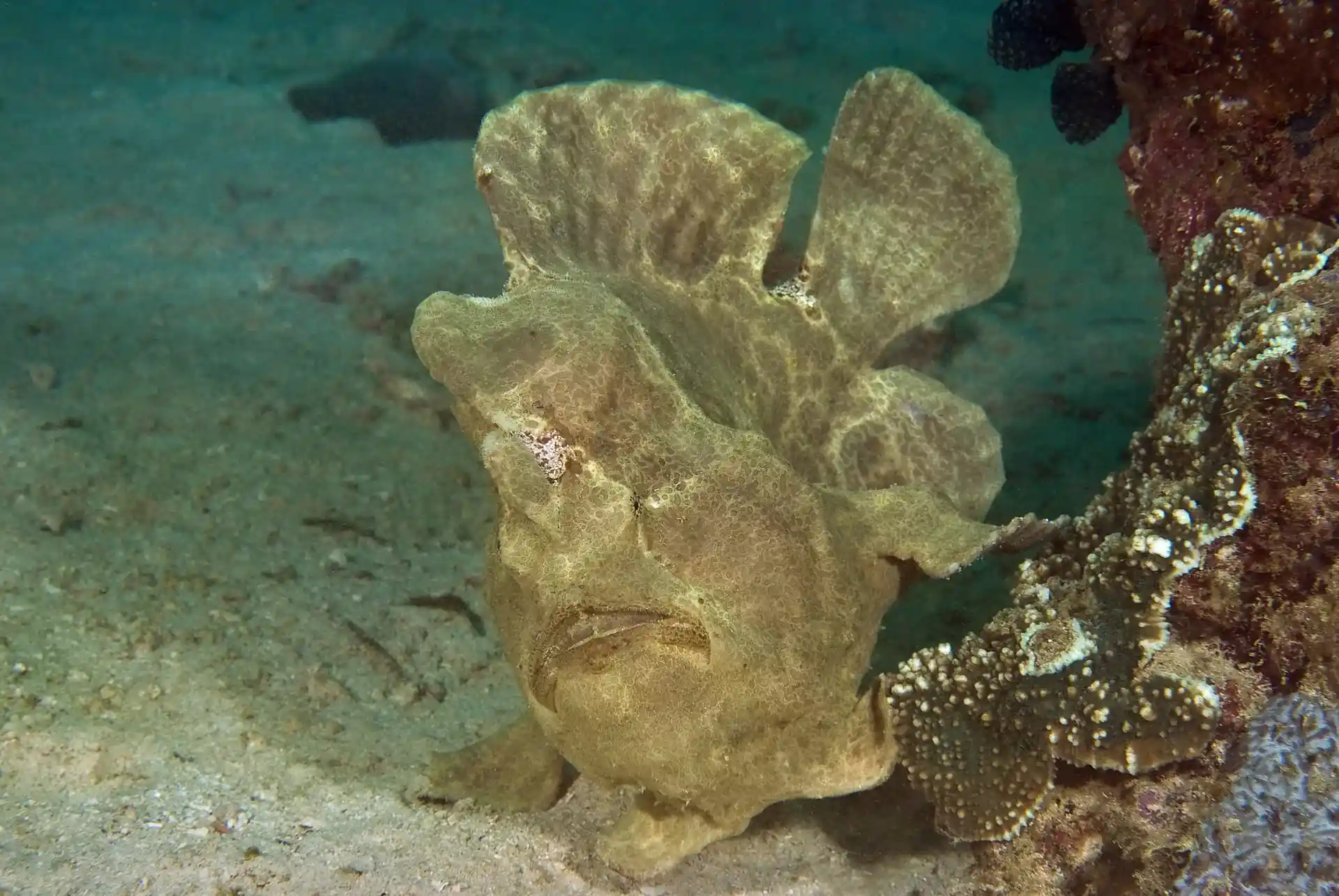 Photo du site de plongée