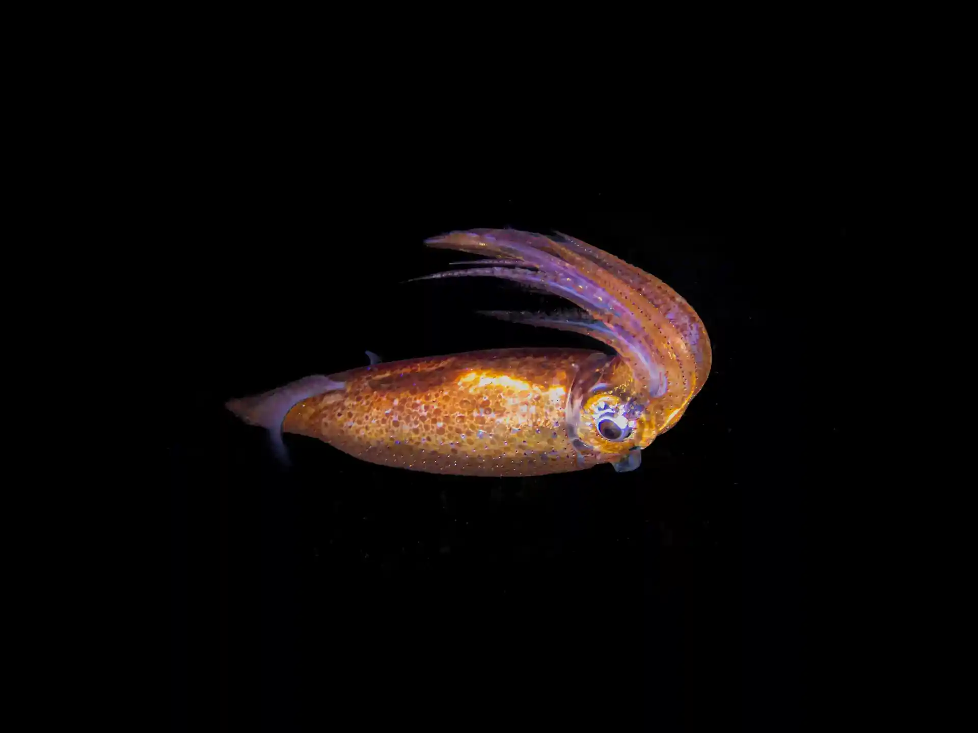 Foto des Tauchplatzes