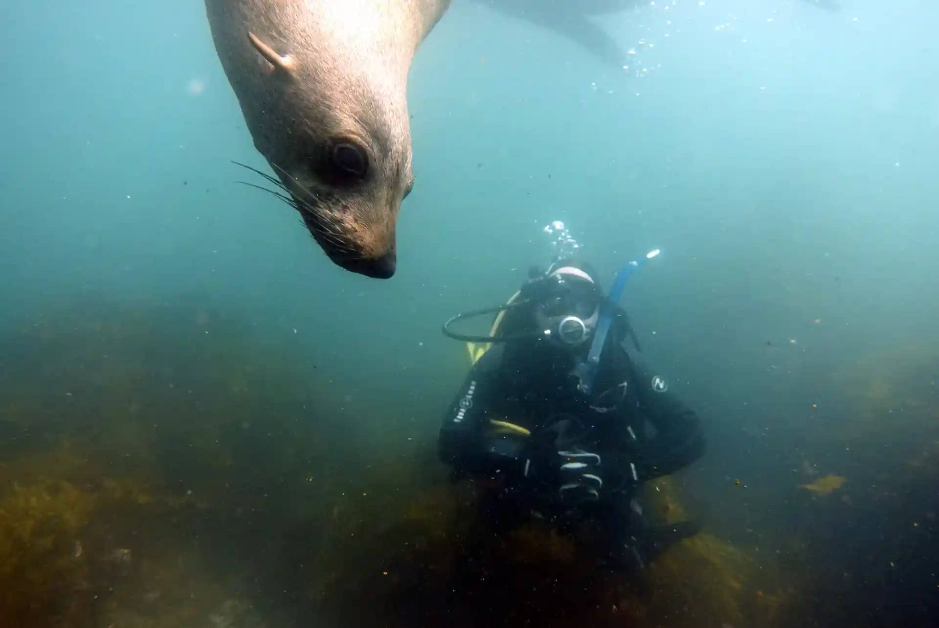 Dive site photo