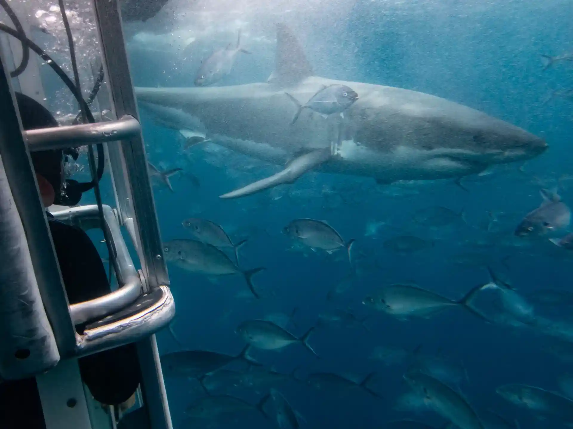 다이빙 포인트 사진