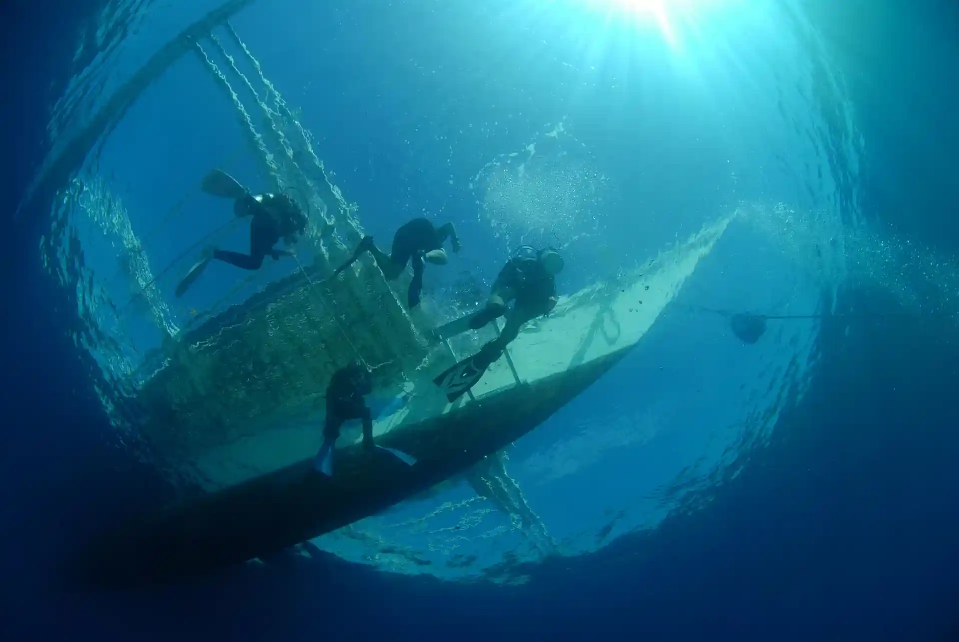 アクティビティ写真