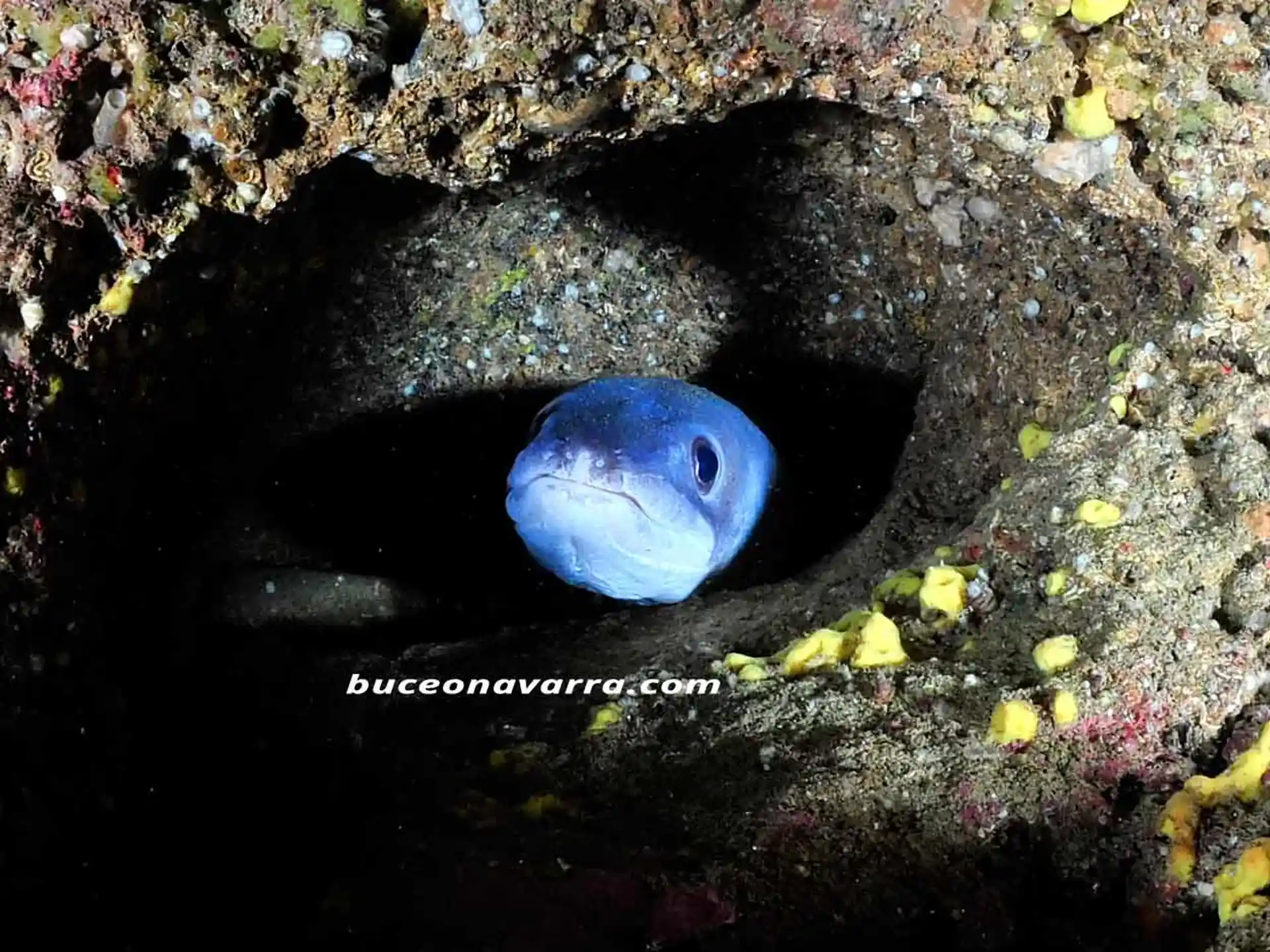 Foto del sitio de buceo