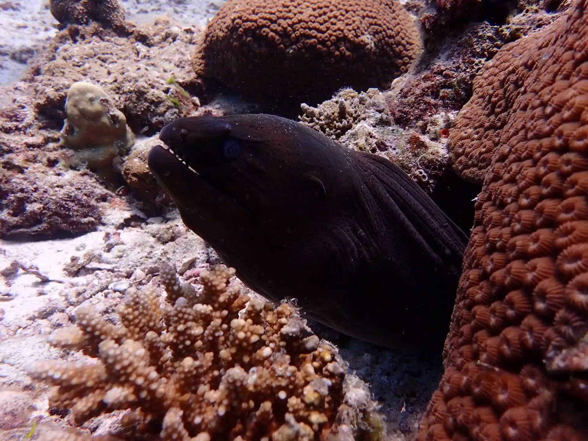 Dive site photo