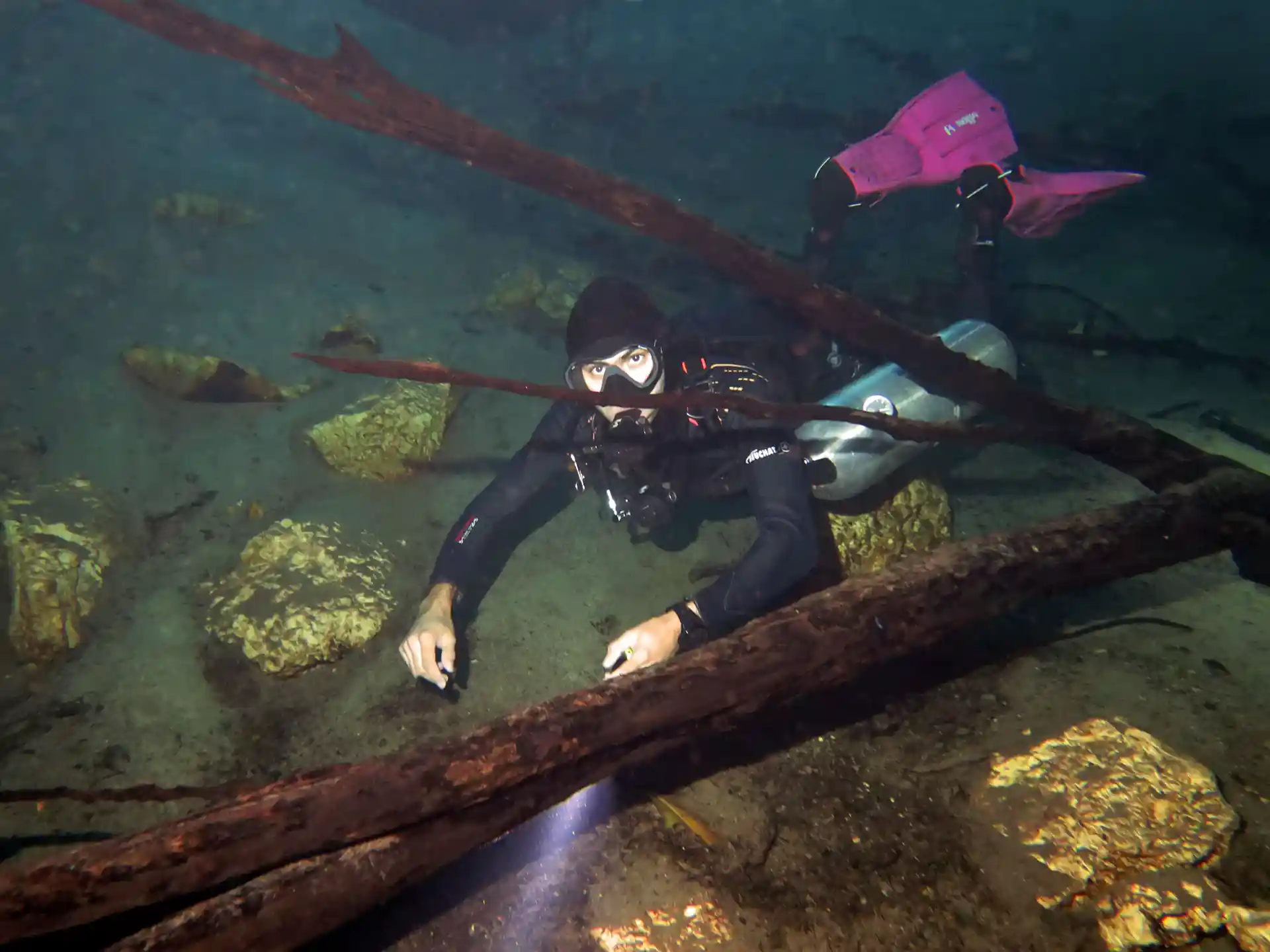 Photo de l'activité