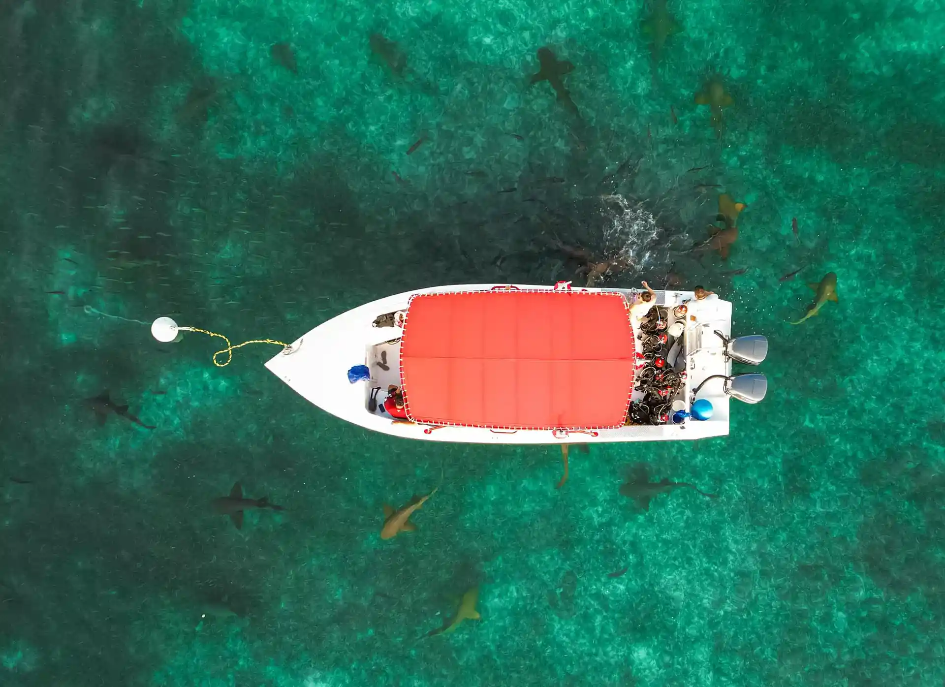 Dive shop photo