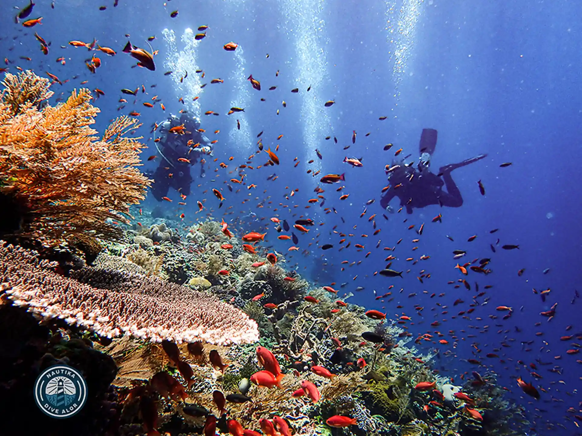 Dive site photo