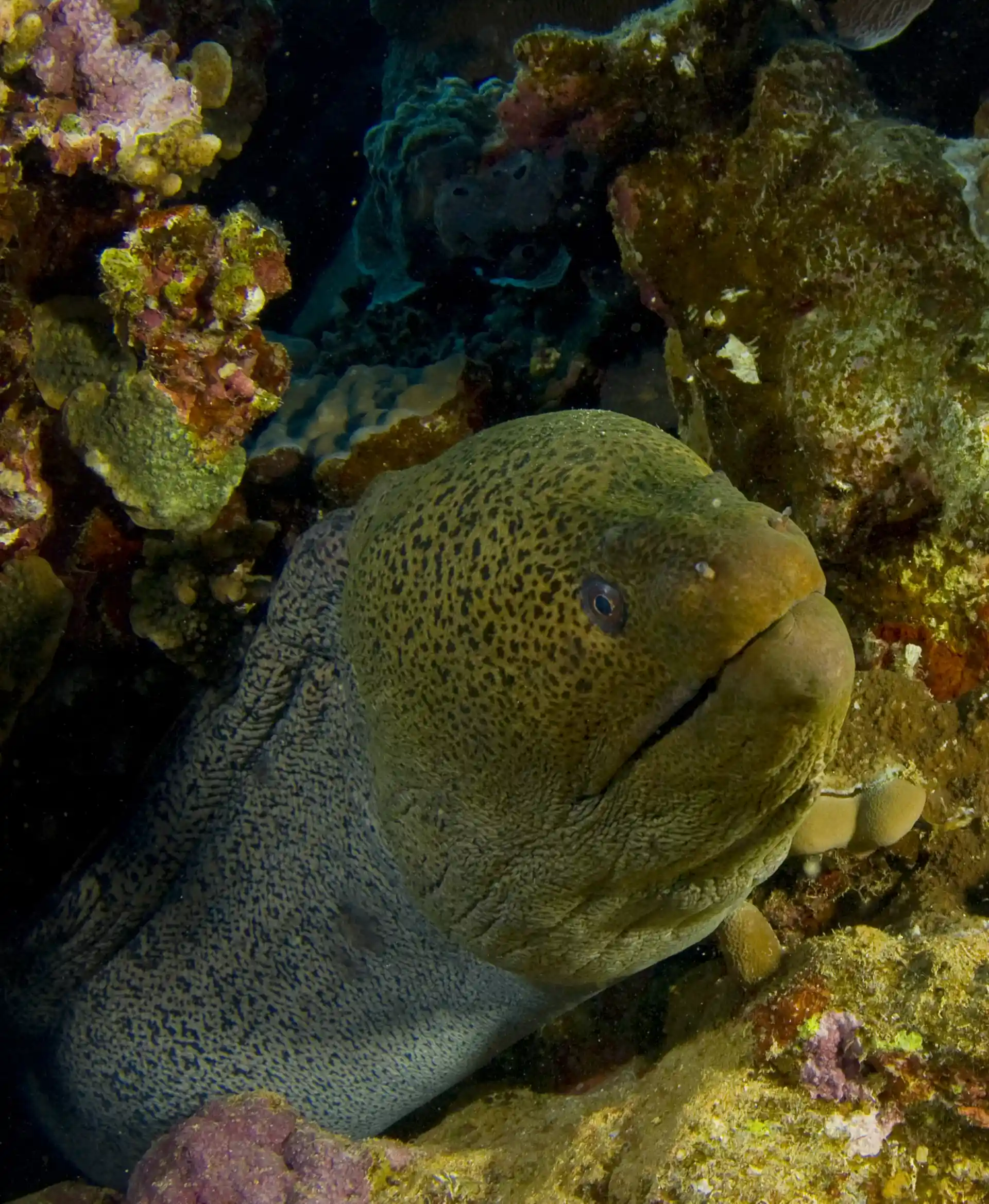 Photo de l'activité