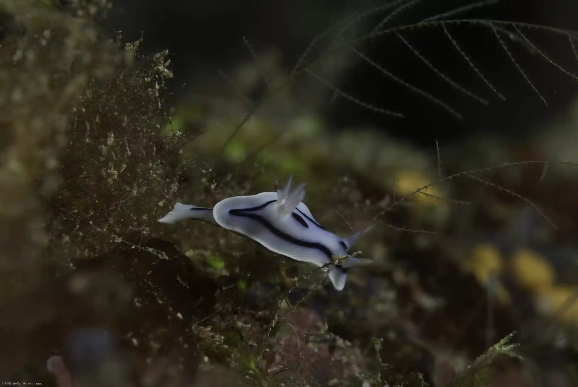 Dive site photo