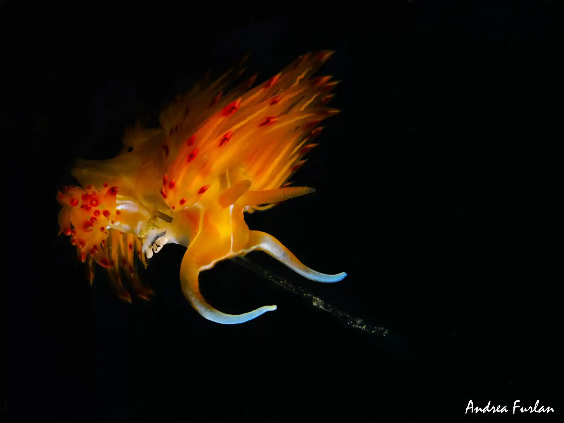 Dive shop photo