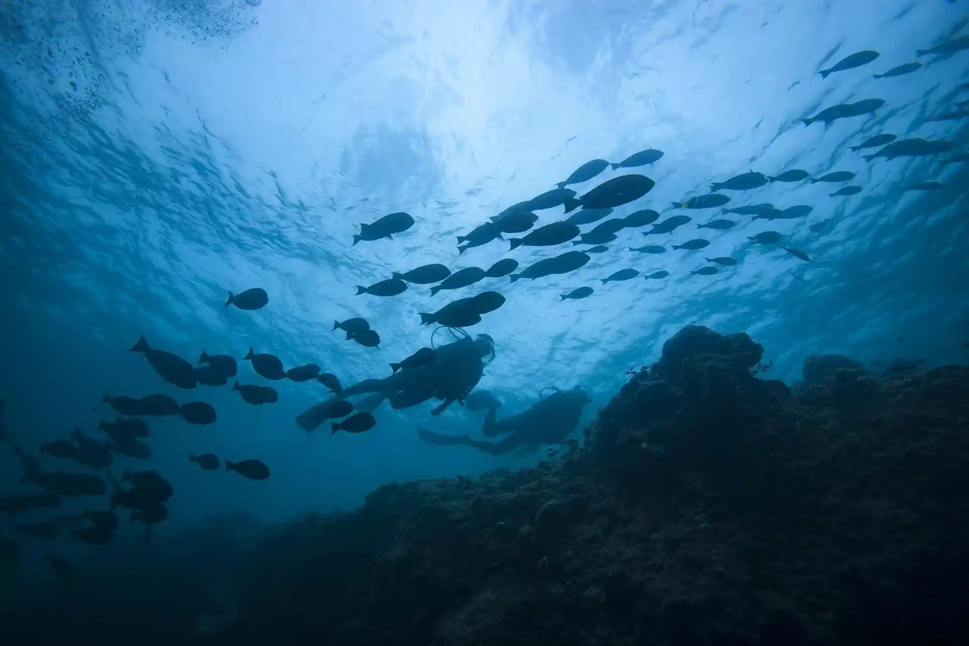 Dive site photo