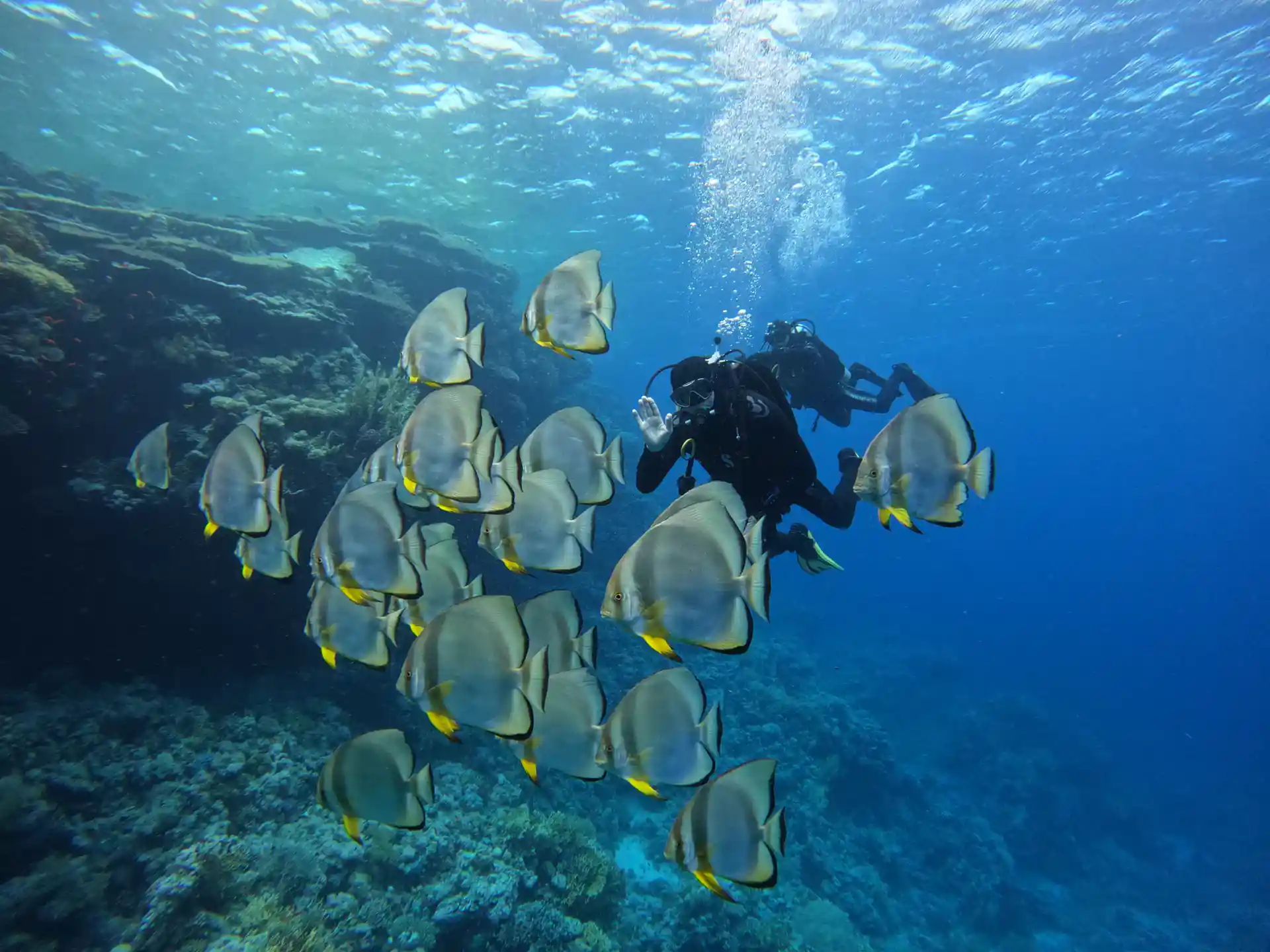 Dive shop photo