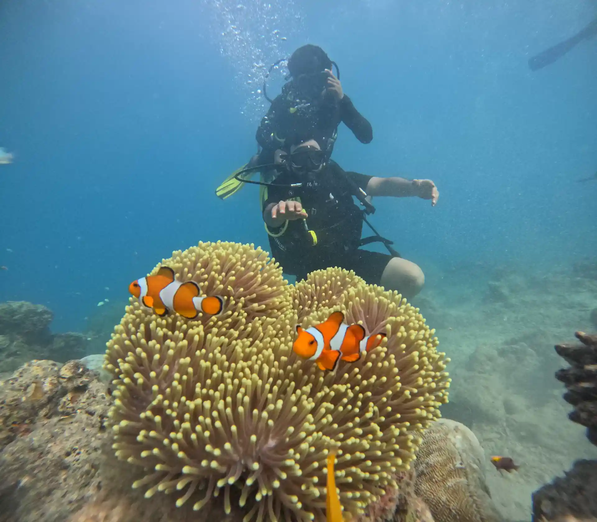 Dive shop photo
