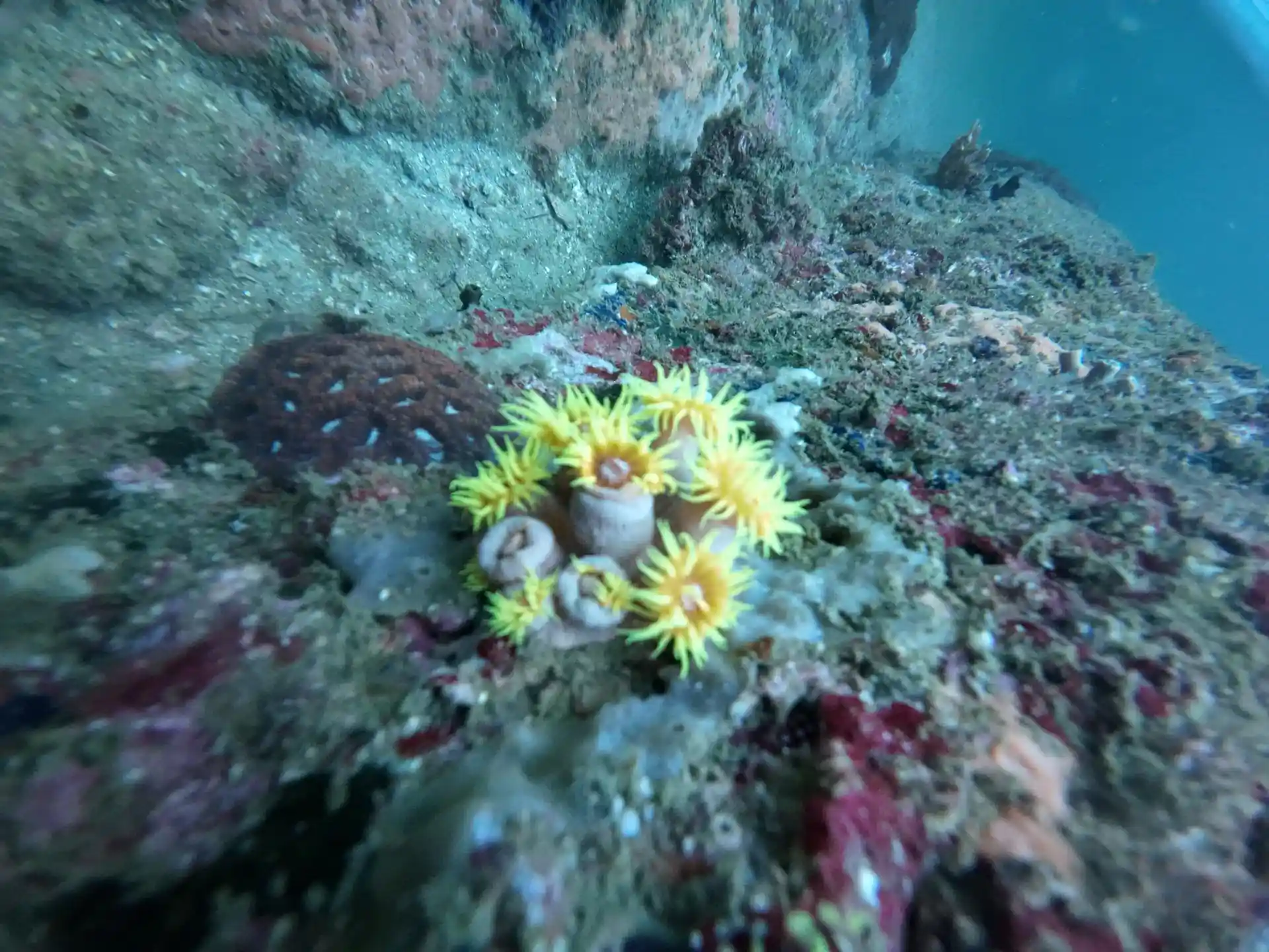 Dive site photo