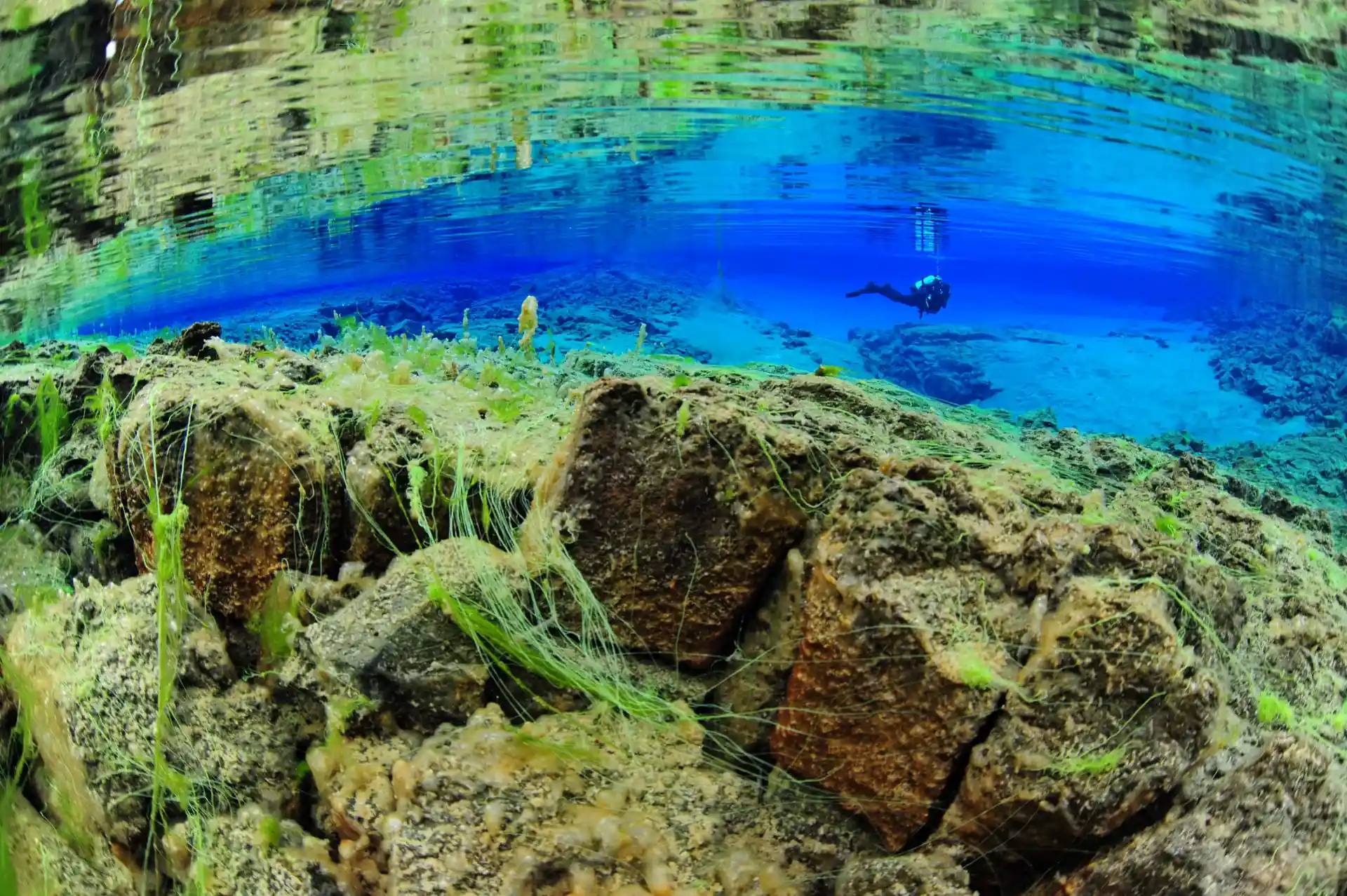 Dive site photo