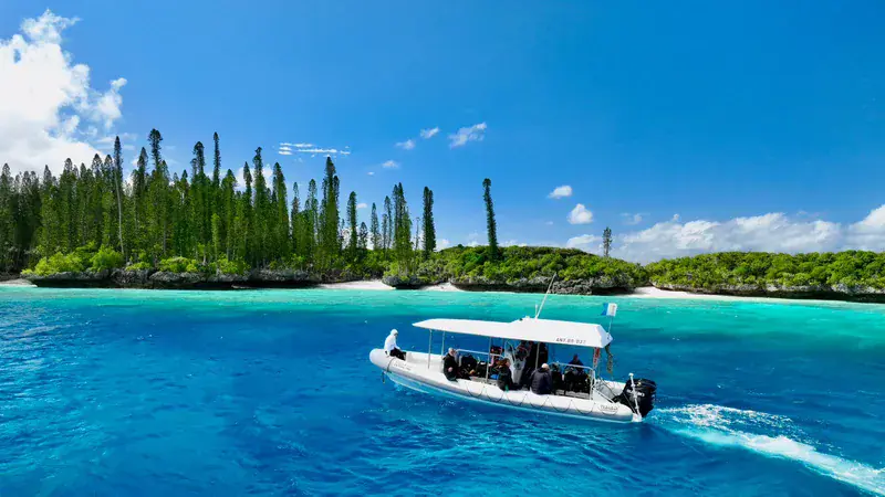 Dive operator picture