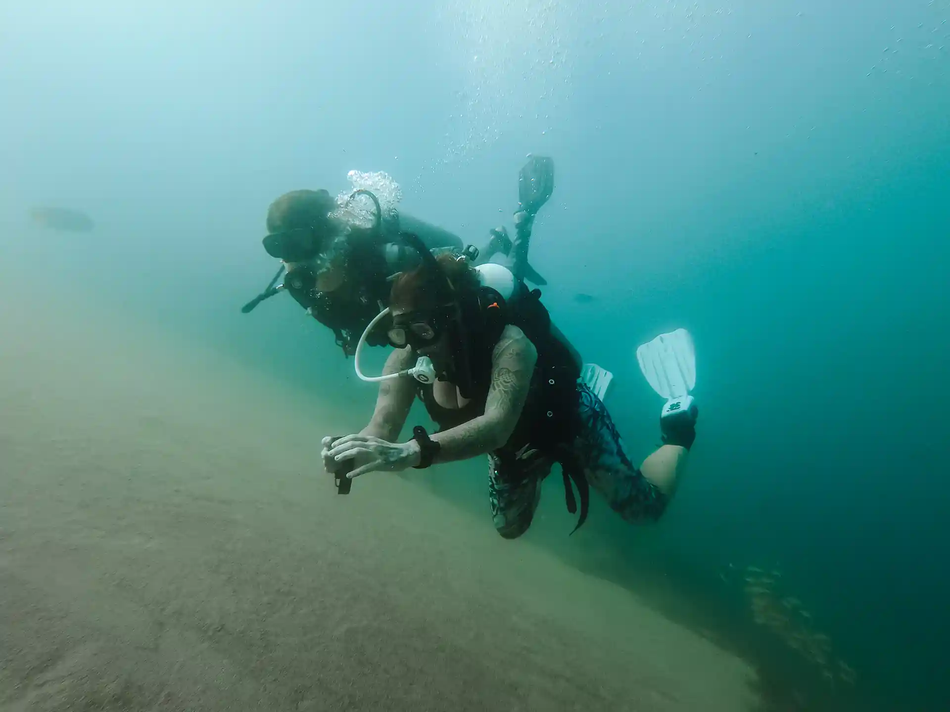 Foto de la actividad