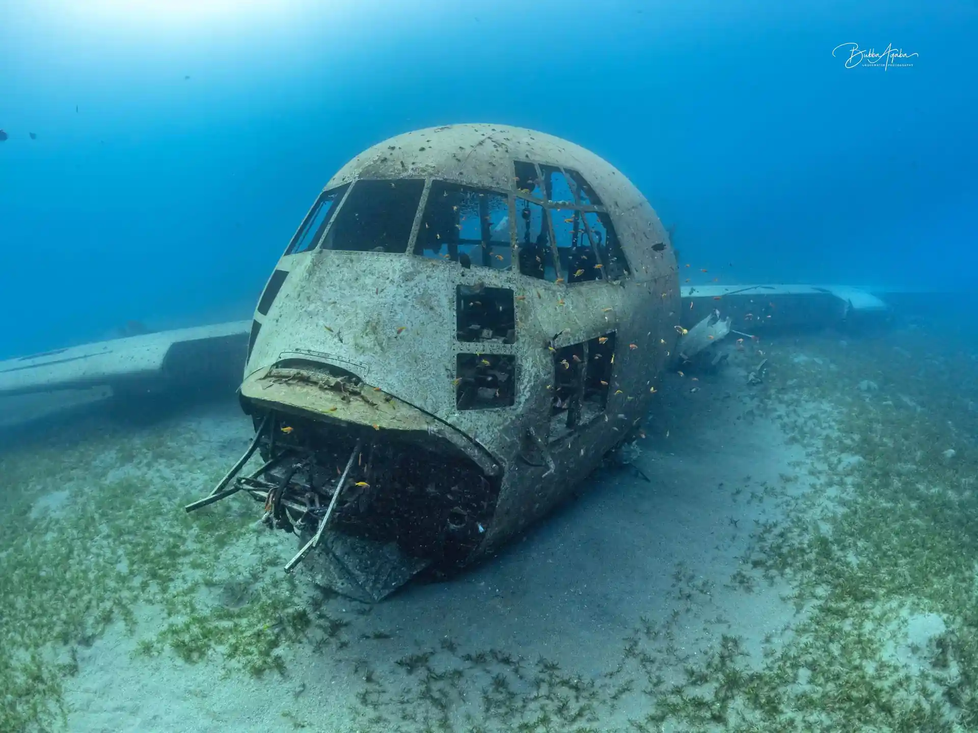 Dive site photo