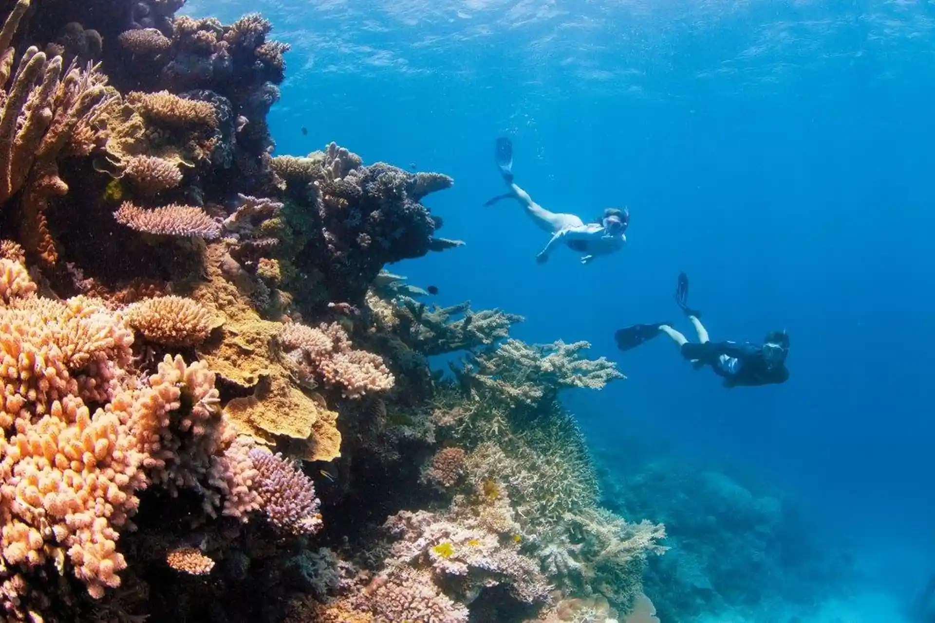 Dive shop photo