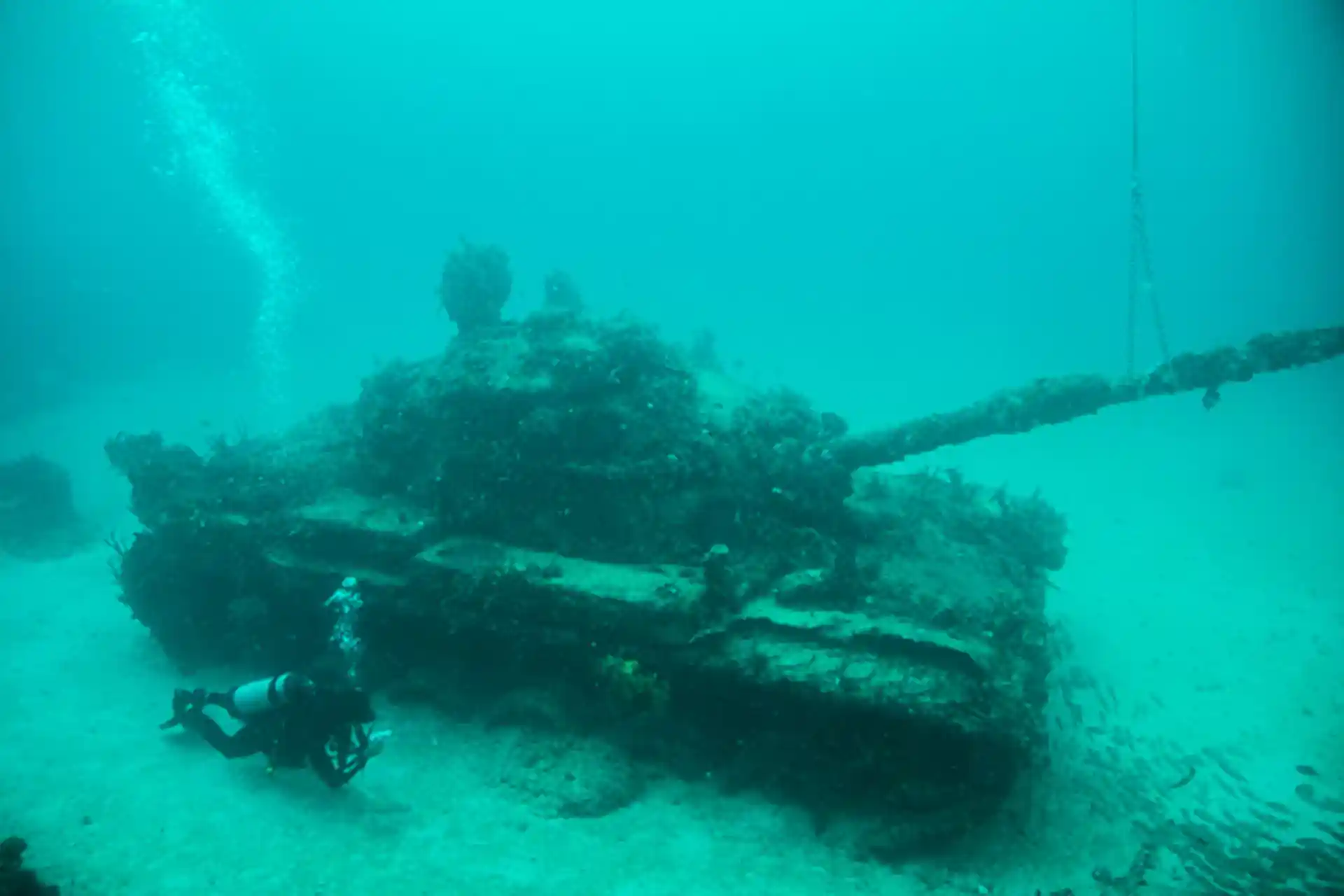 Dive site photo