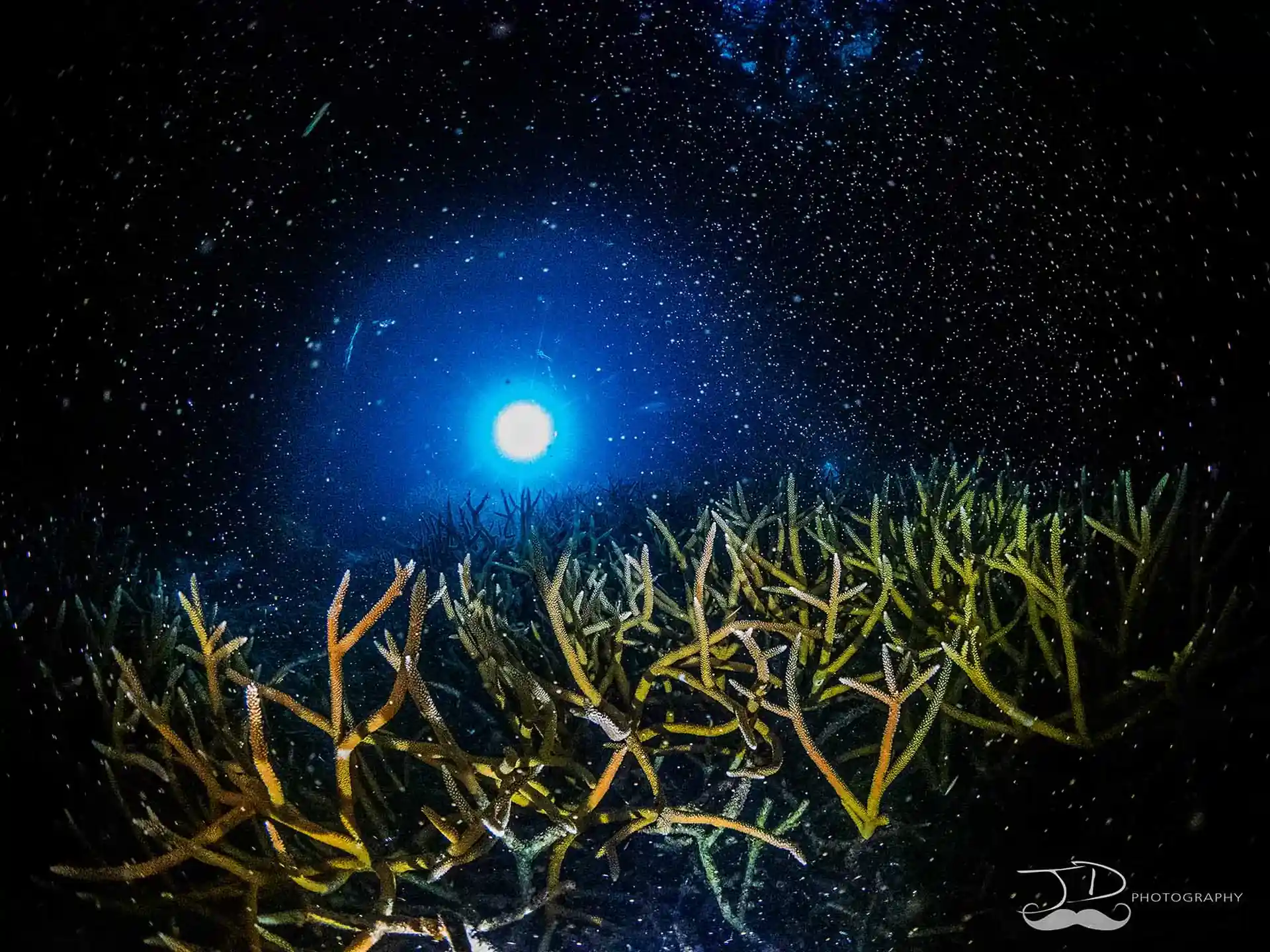 Photo de l'activité