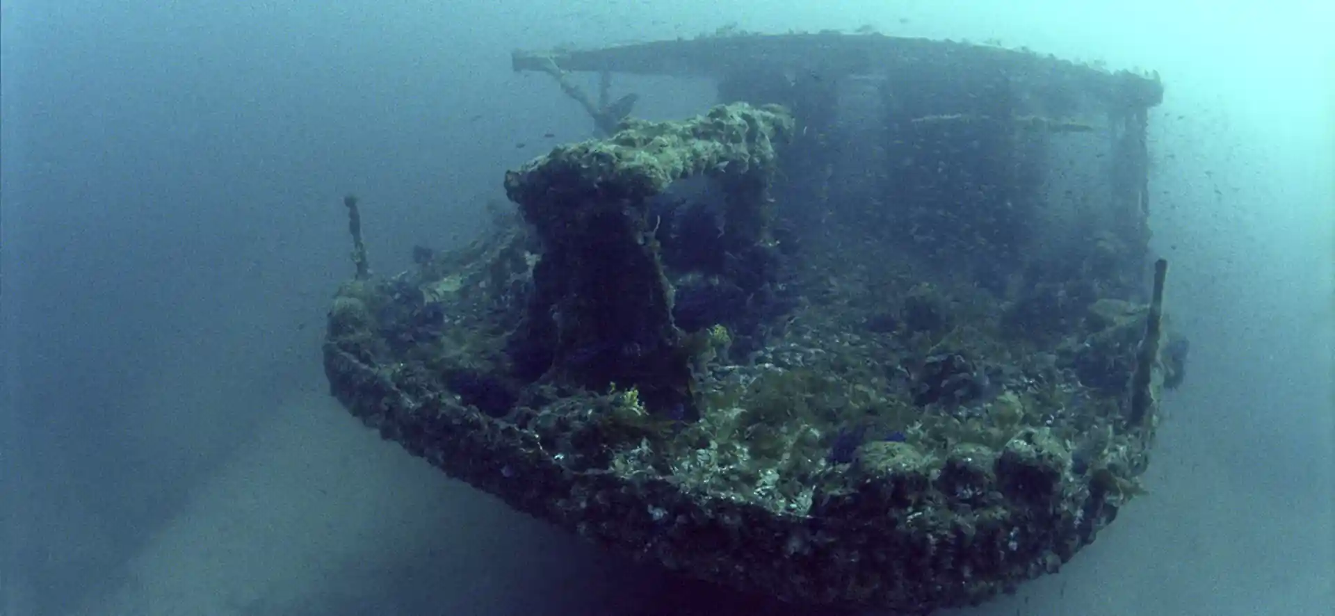 다이빙 포인트 사진