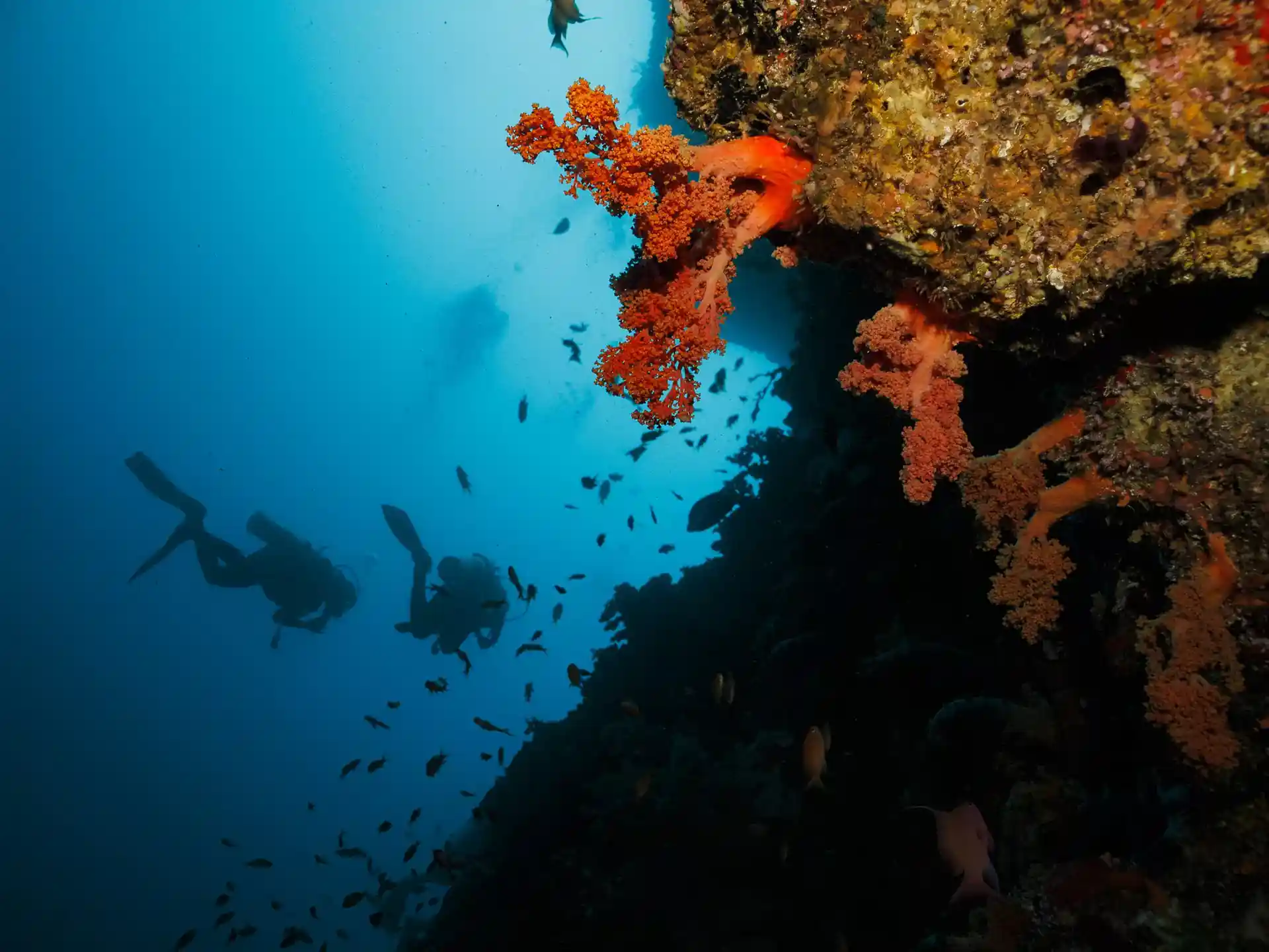 Dive site photo