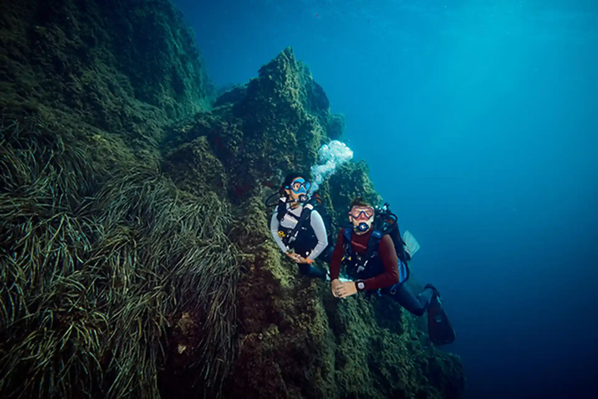 Foto de la actividad