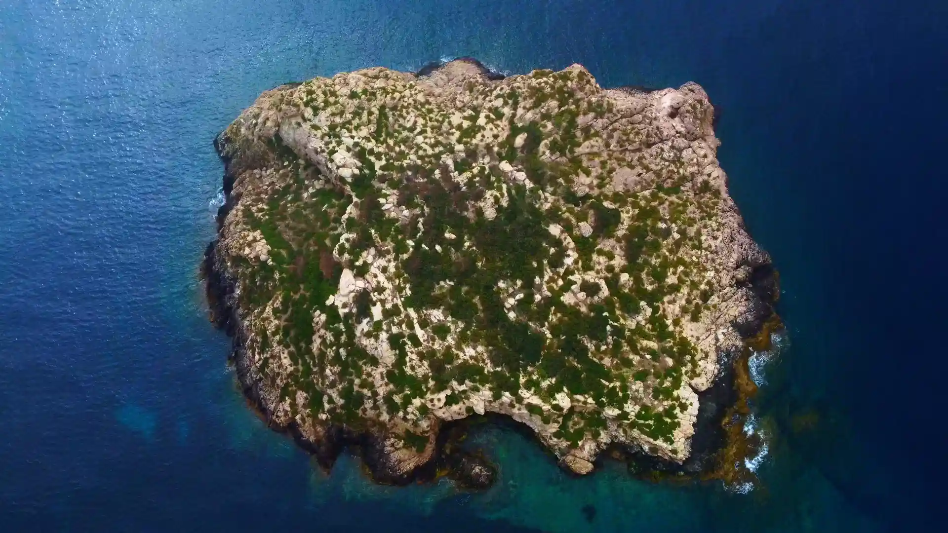 Photo du site de plongée