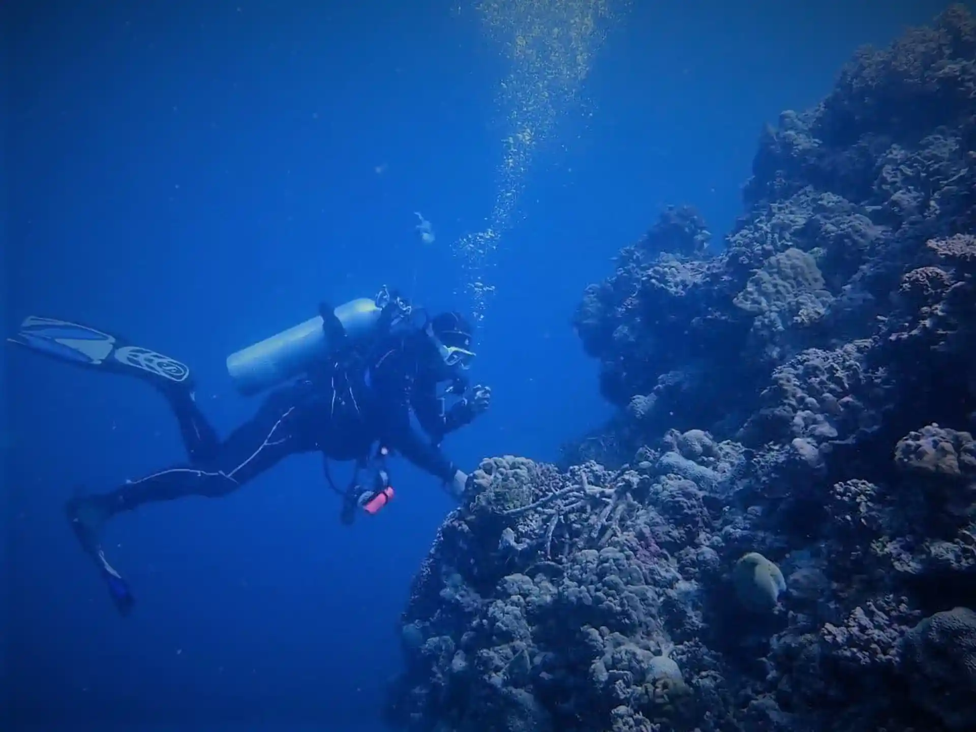 Foto de la actividad